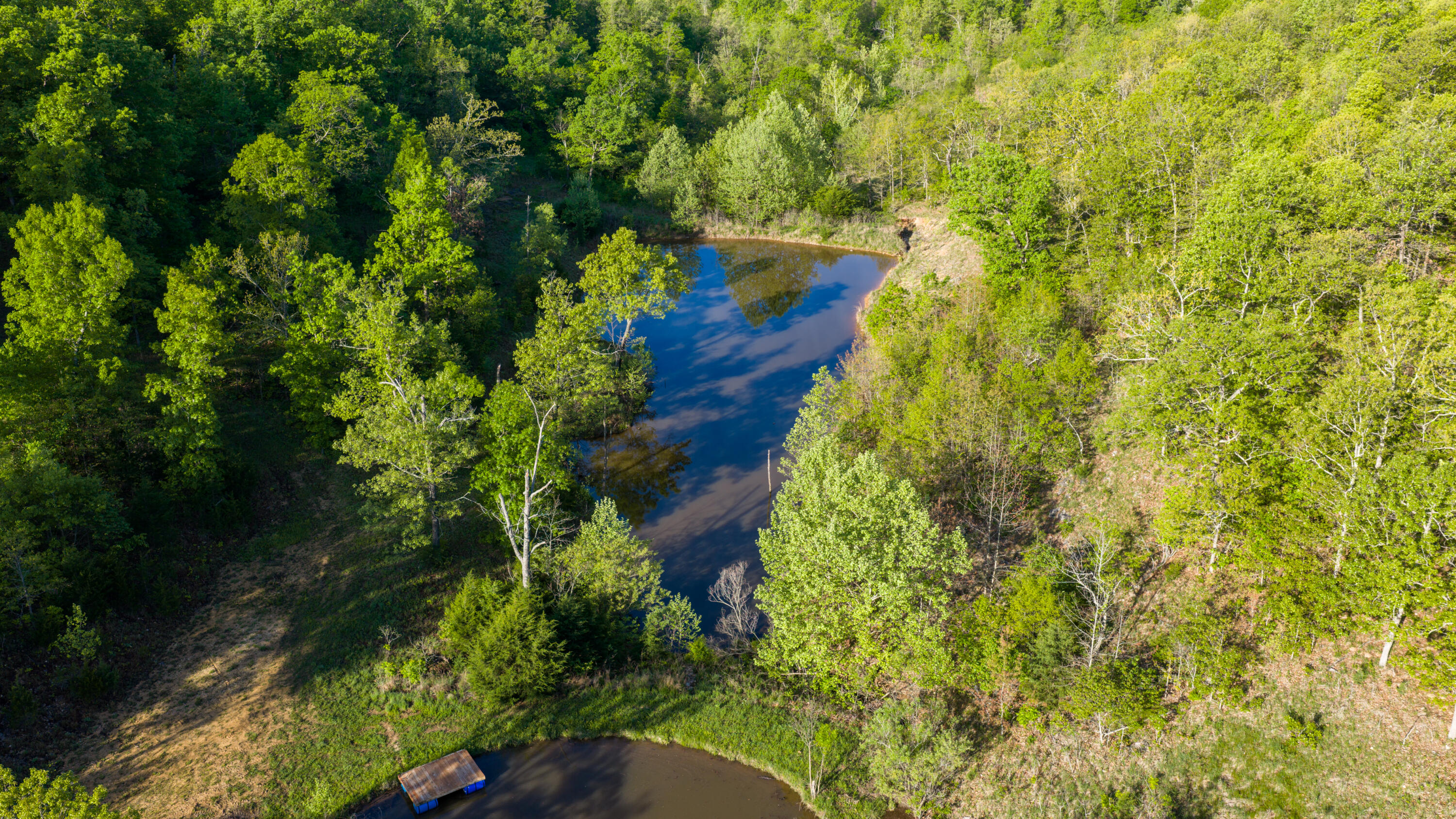 40 Acres State Road D Property Photo 19
