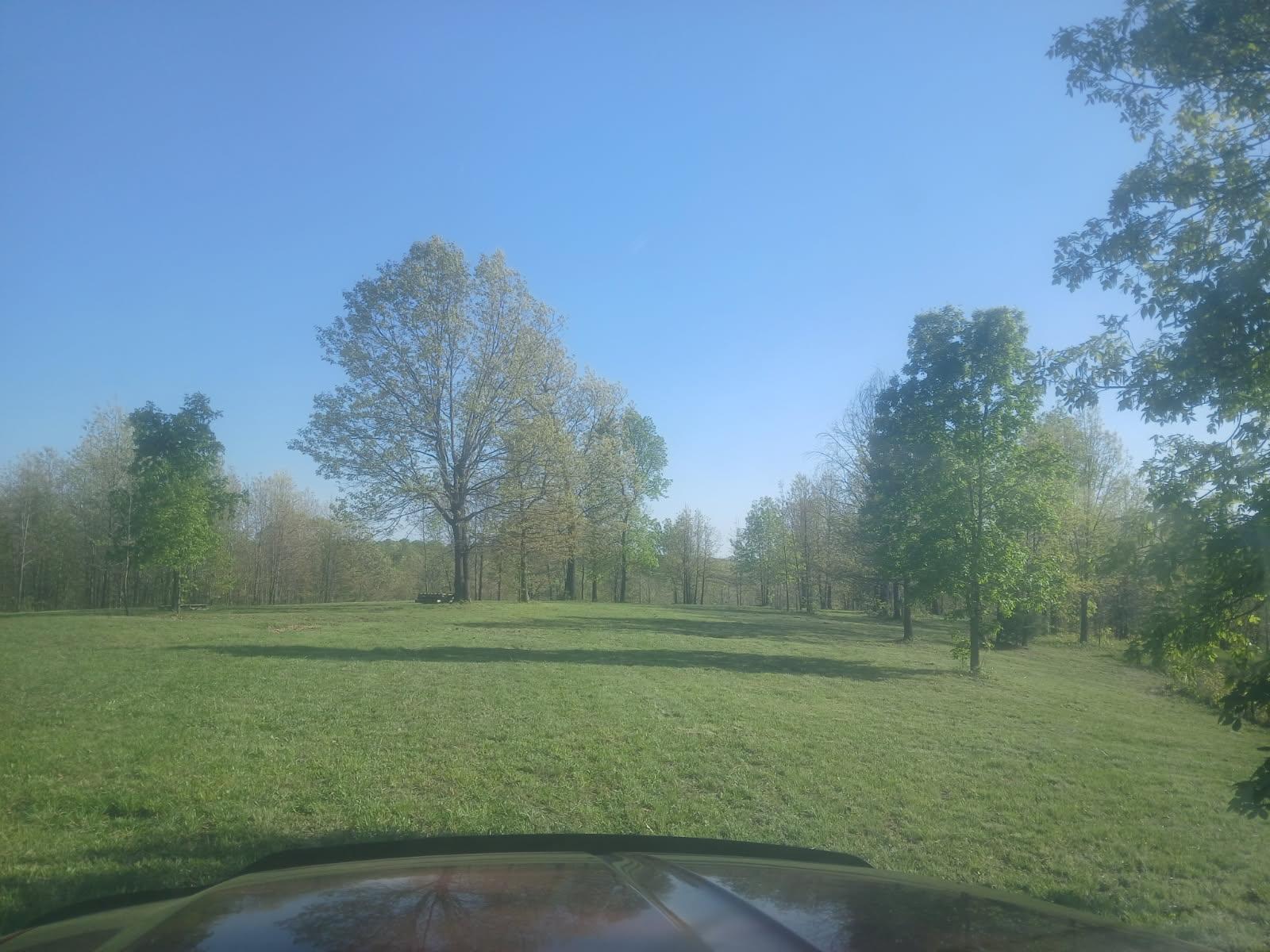 40 Acres State Road D Property Photo 31