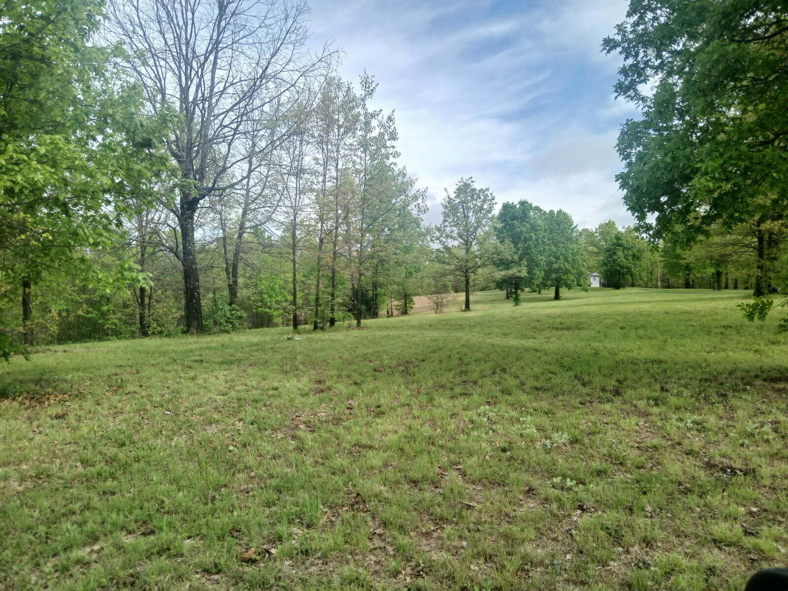 40 Acres State Road D Property Photo 40