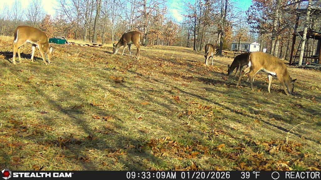 40 Acres State Road D Property Photo 41