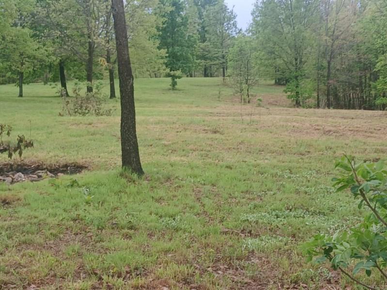 40 Acres State Road D Property Photo 45