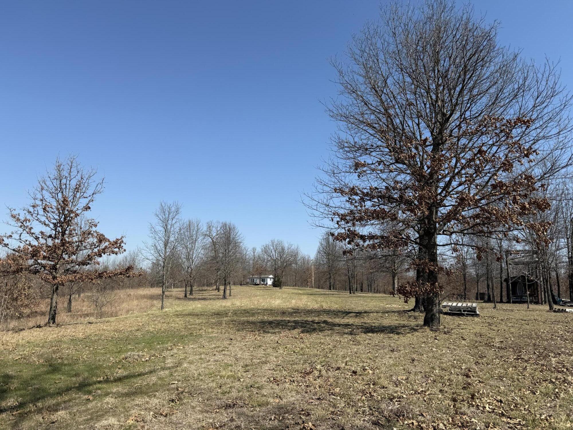 40 Acres State Road D Property Photo 47