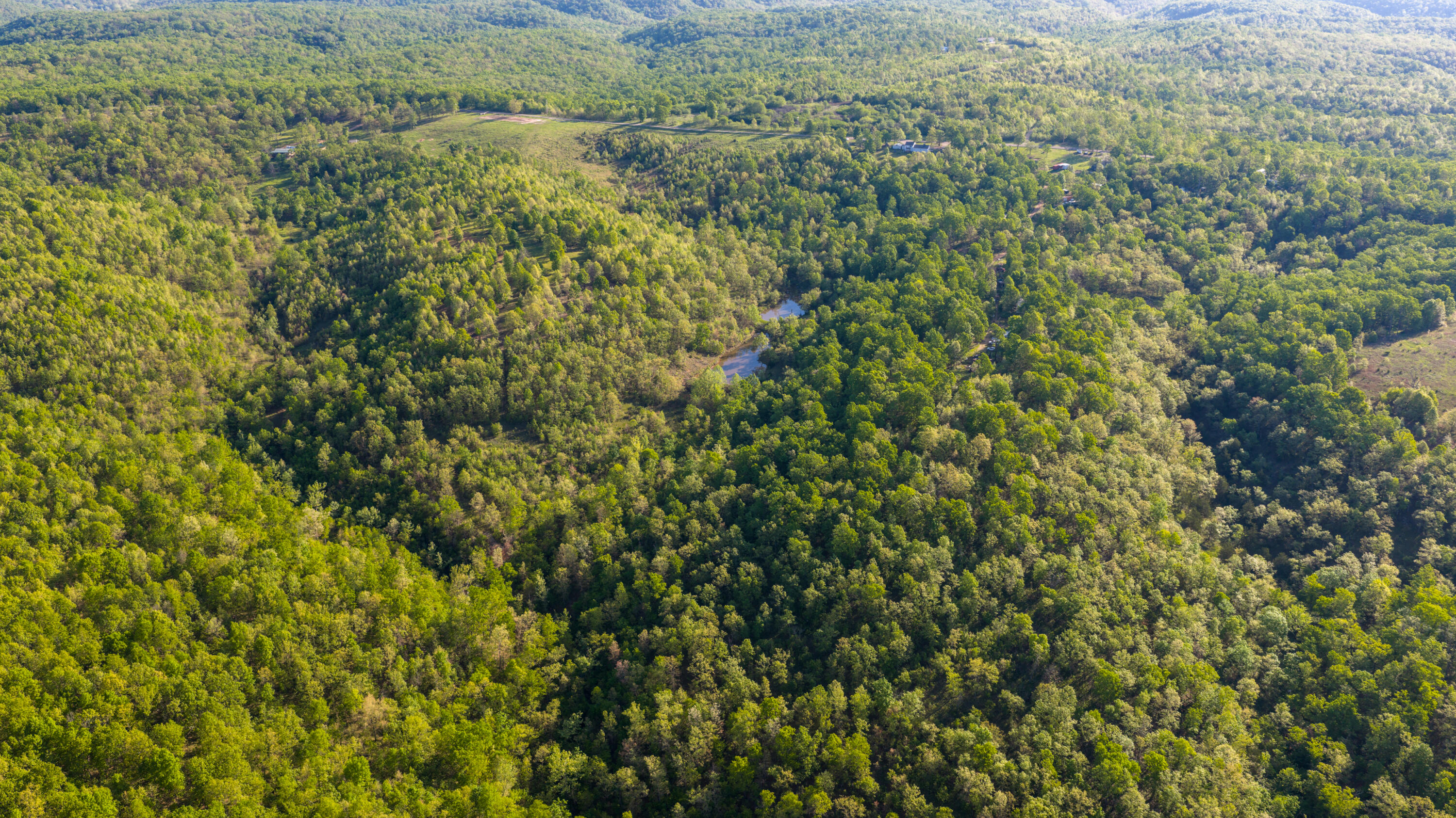 40 Acres State Road D Property Photo 50