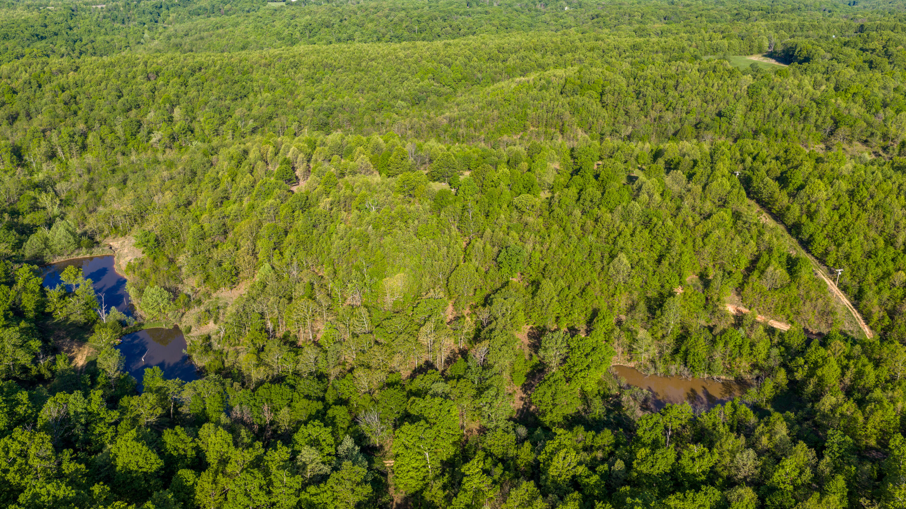40 Acres State Road D Property Photo 51