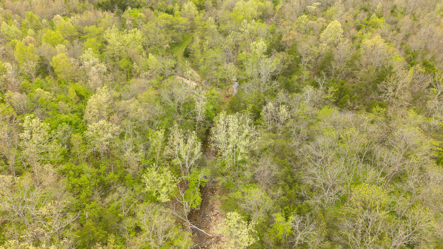 000 Crooked Creek Road Property Photo 6