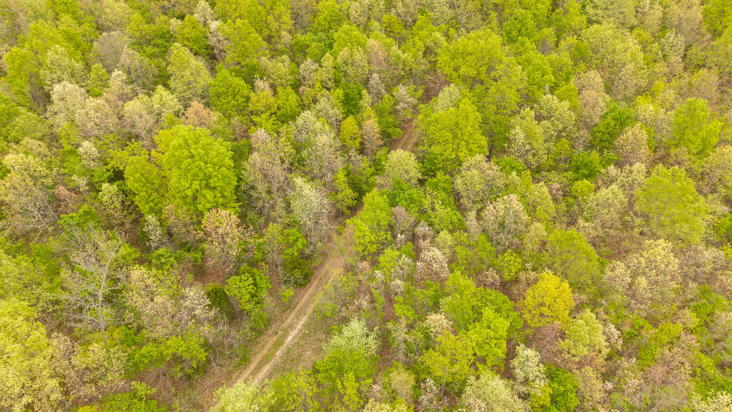 000 Crooked Creek Road Property Photo 7