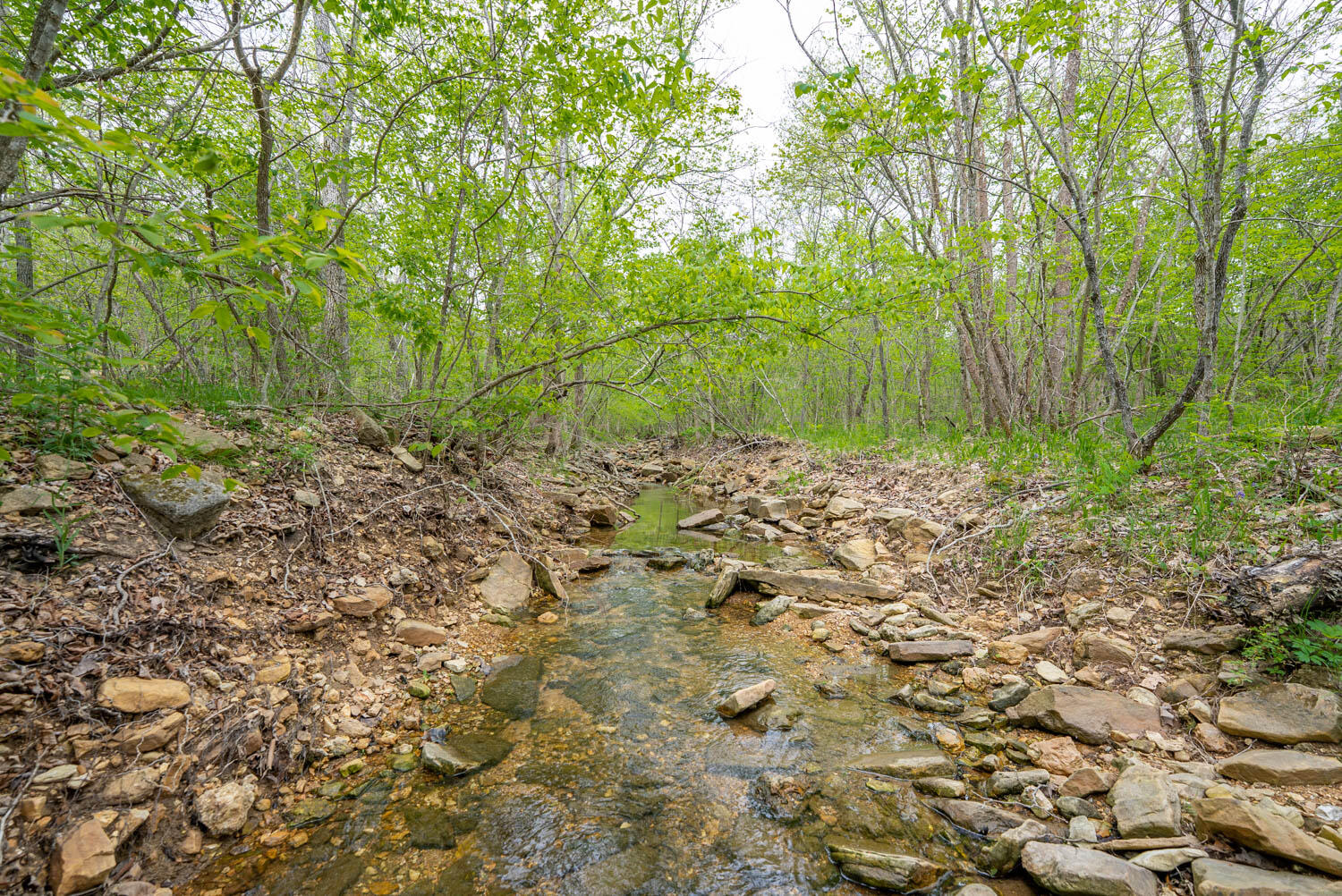 000 Crooked Creek Road Property Photo 10