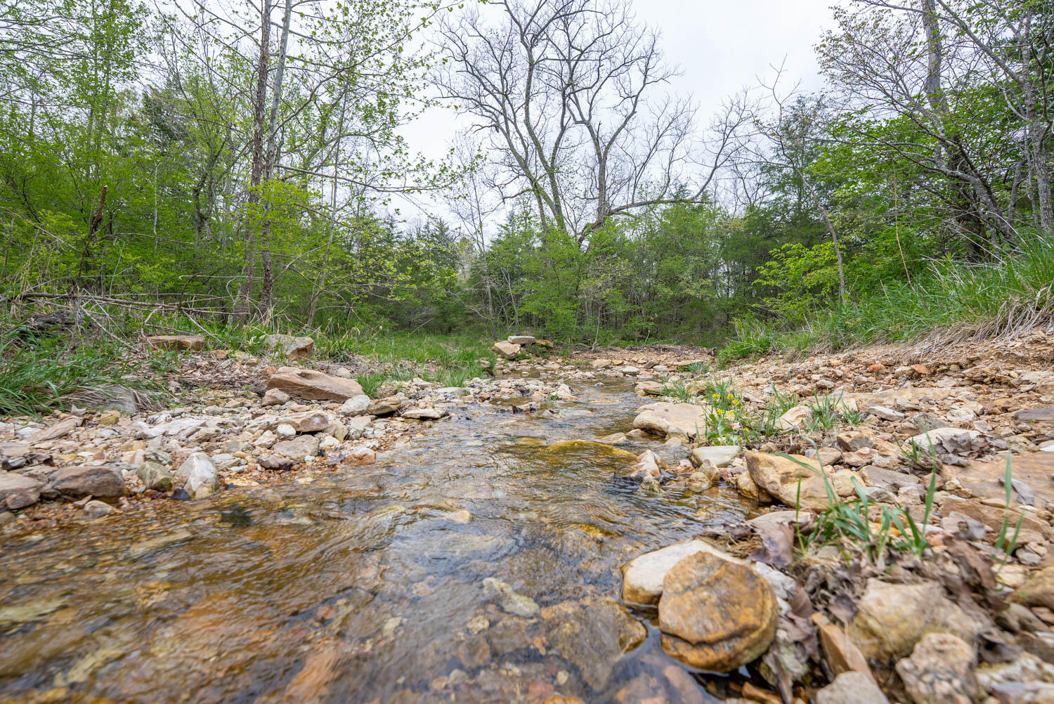 000 Crooked Creek Road Property Photo 15