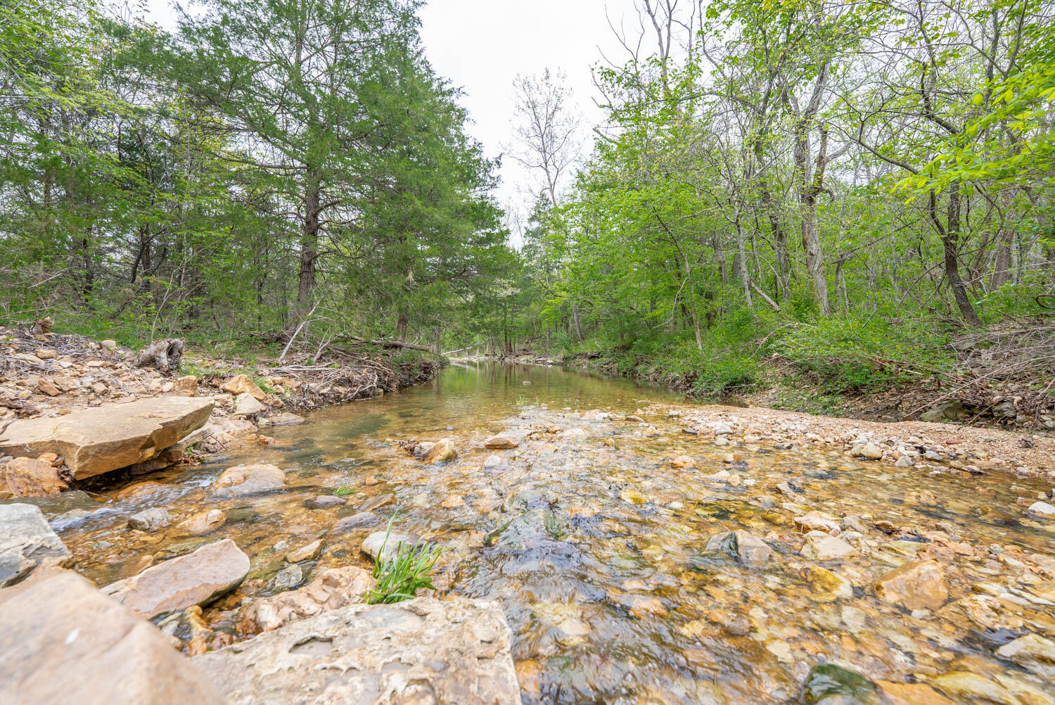 000 Crooked Creek Road Property Photo 17