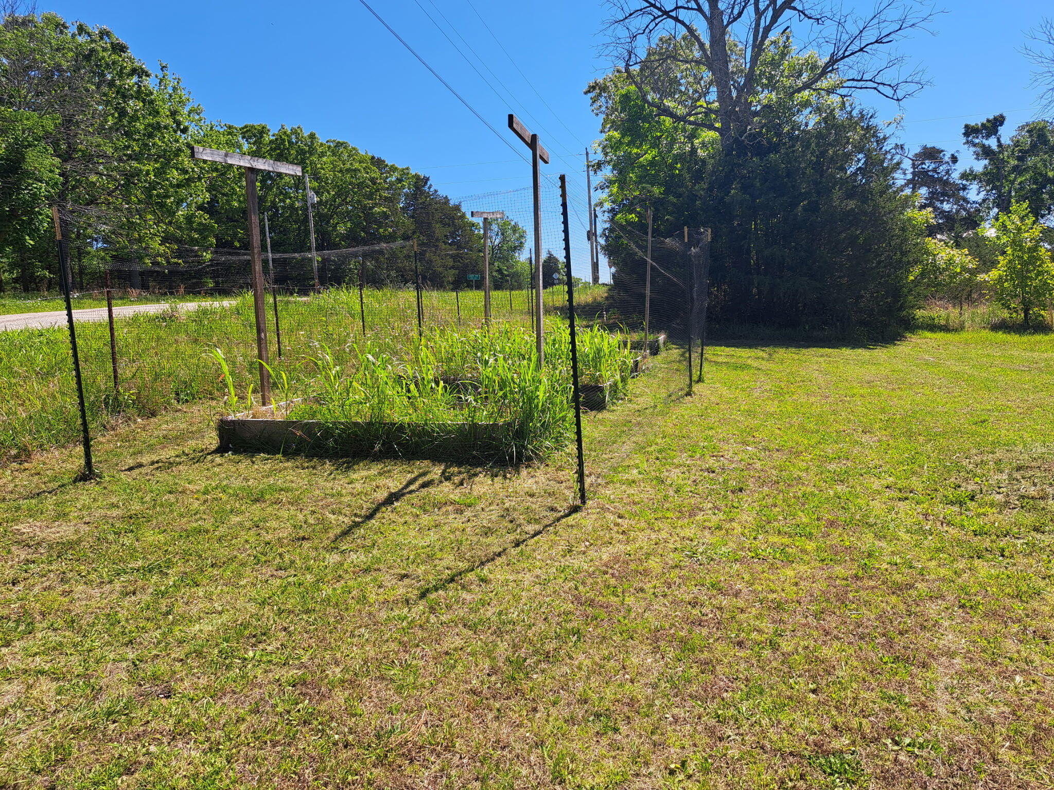 2916 County Road 662 Property Photo 43