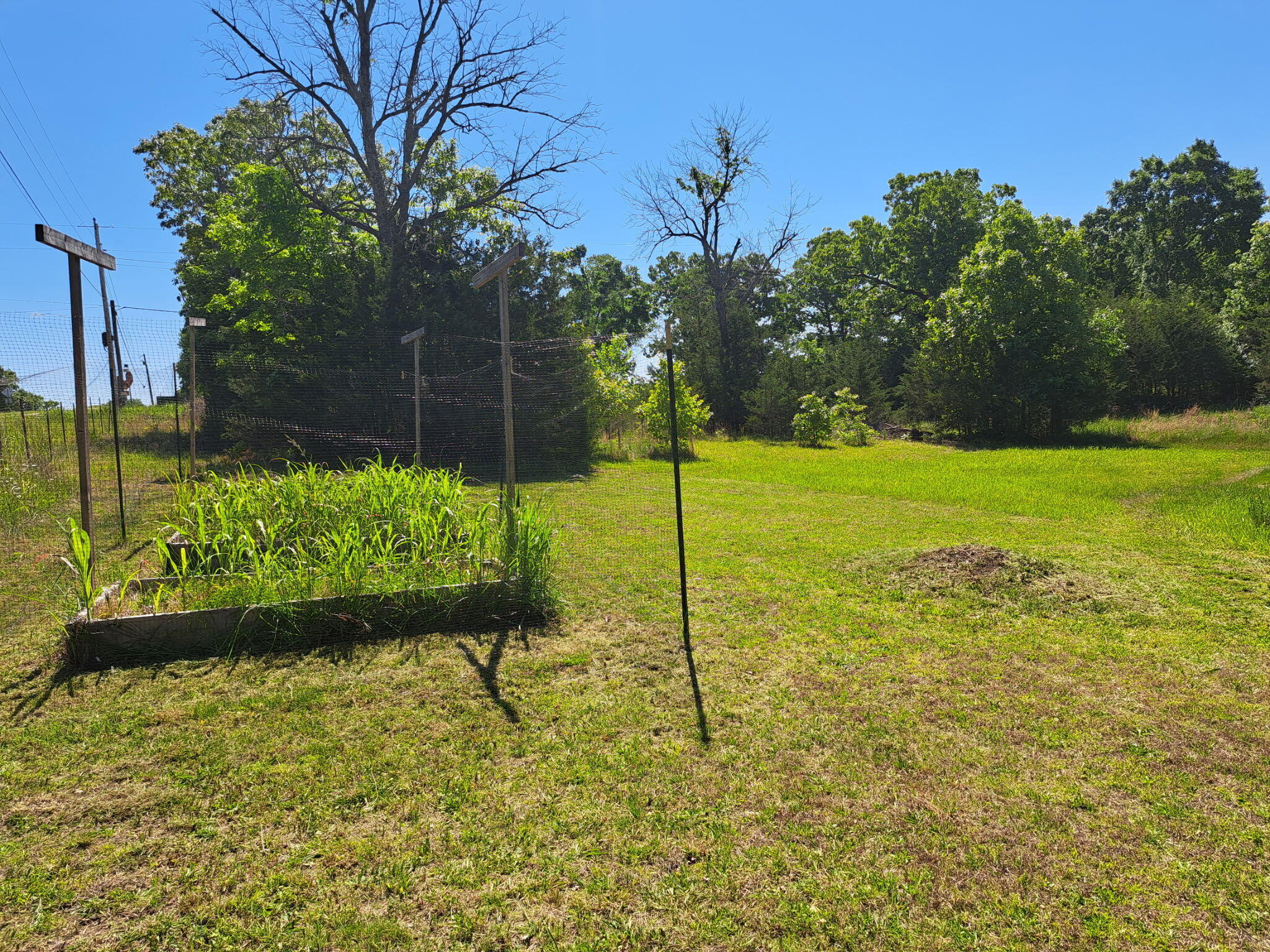 2916 County Road 662 Property Photo 44