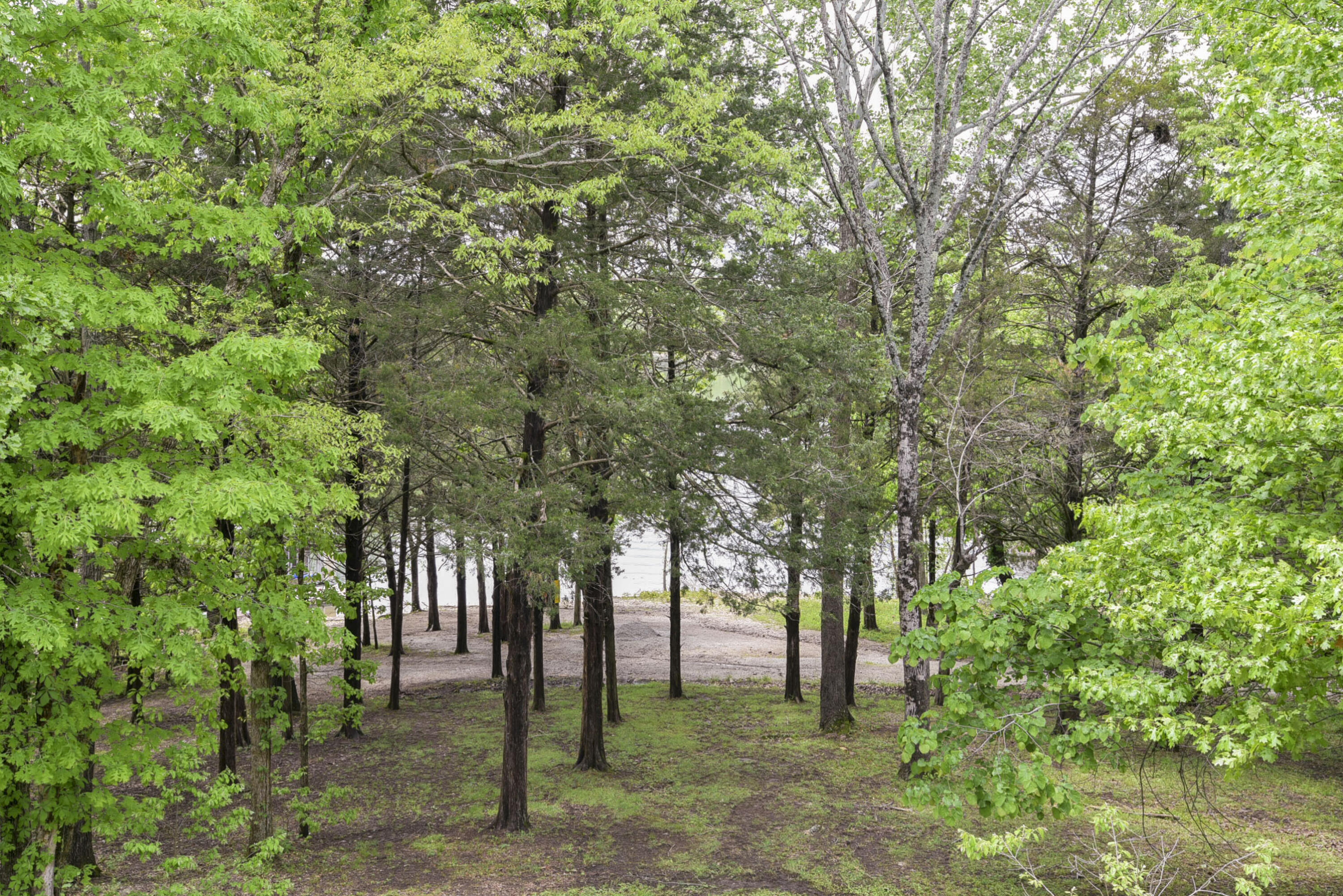 27527 Hock Lane Property Photo 41