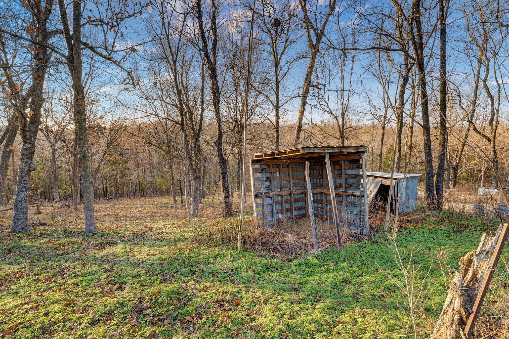 10033 North Farm Rd 165 Property Photo 5