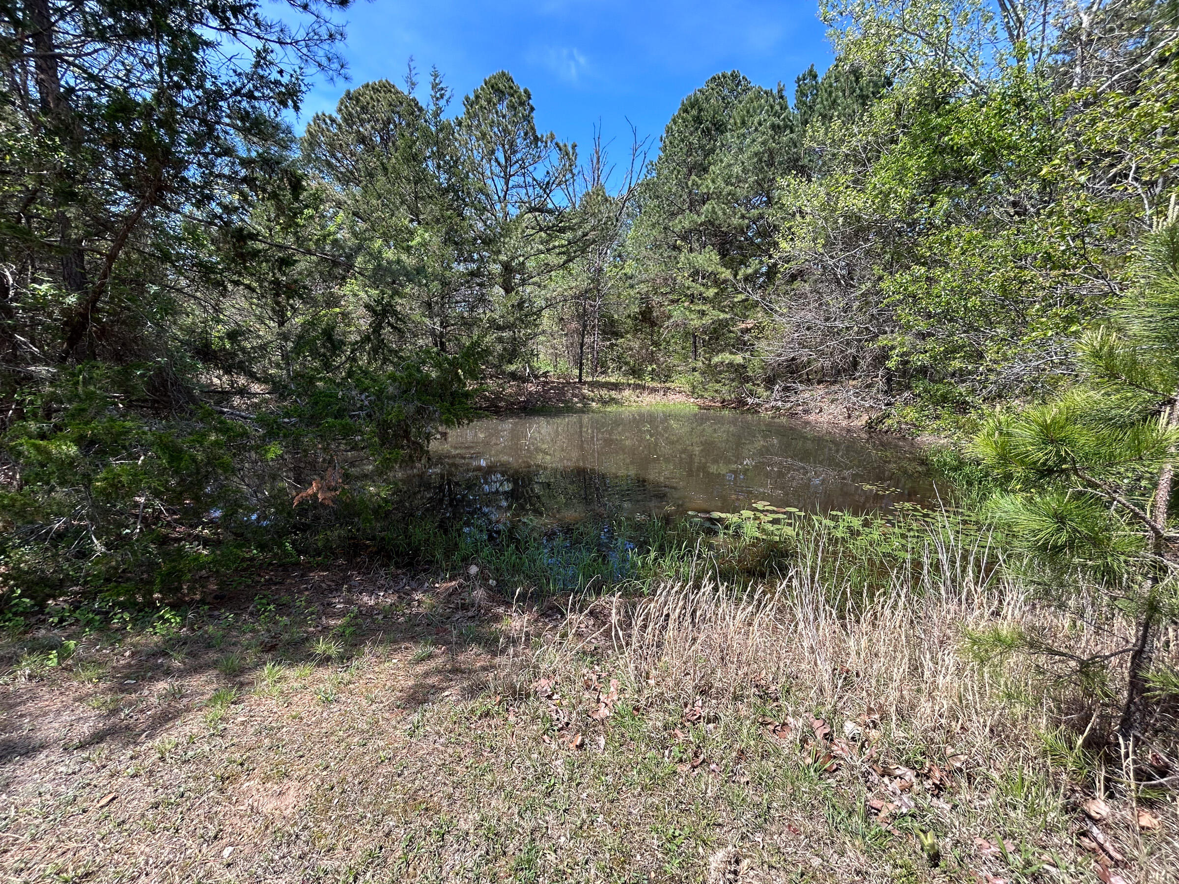 8307 Highway 63 Property Photo 22