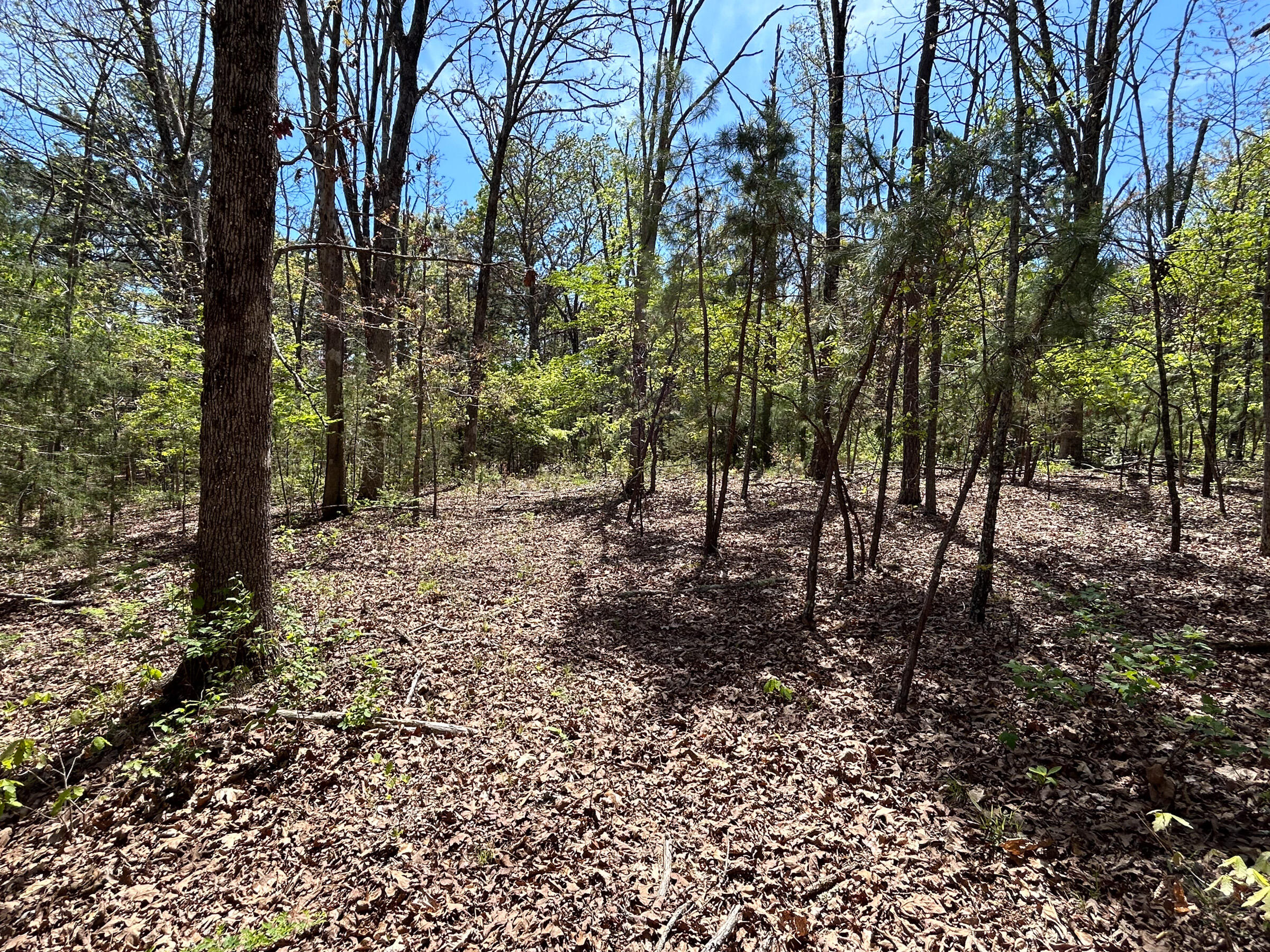8307 Highway 63 Property Photo 27