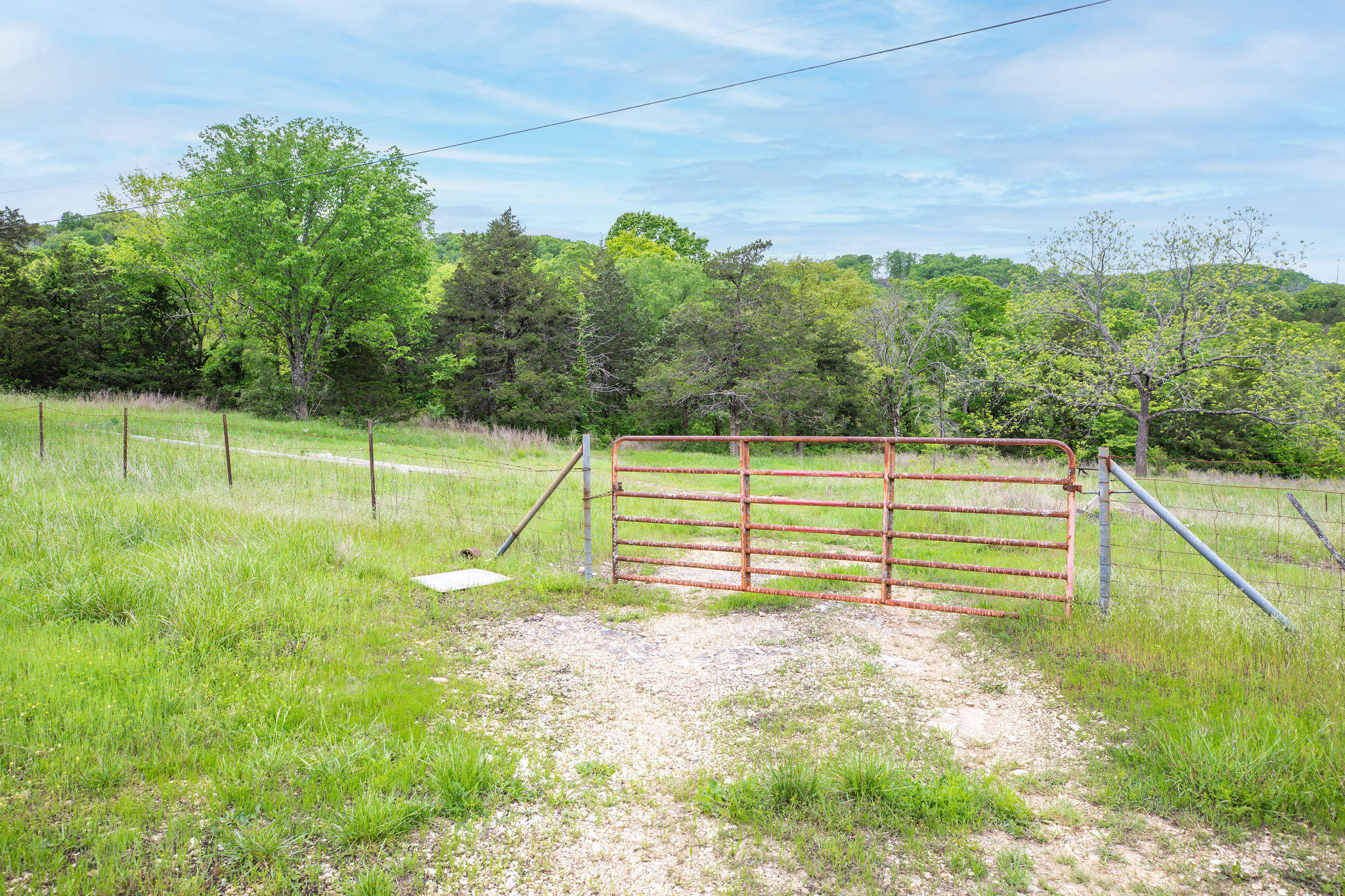 1584 Buchanan Road Property Photo 6