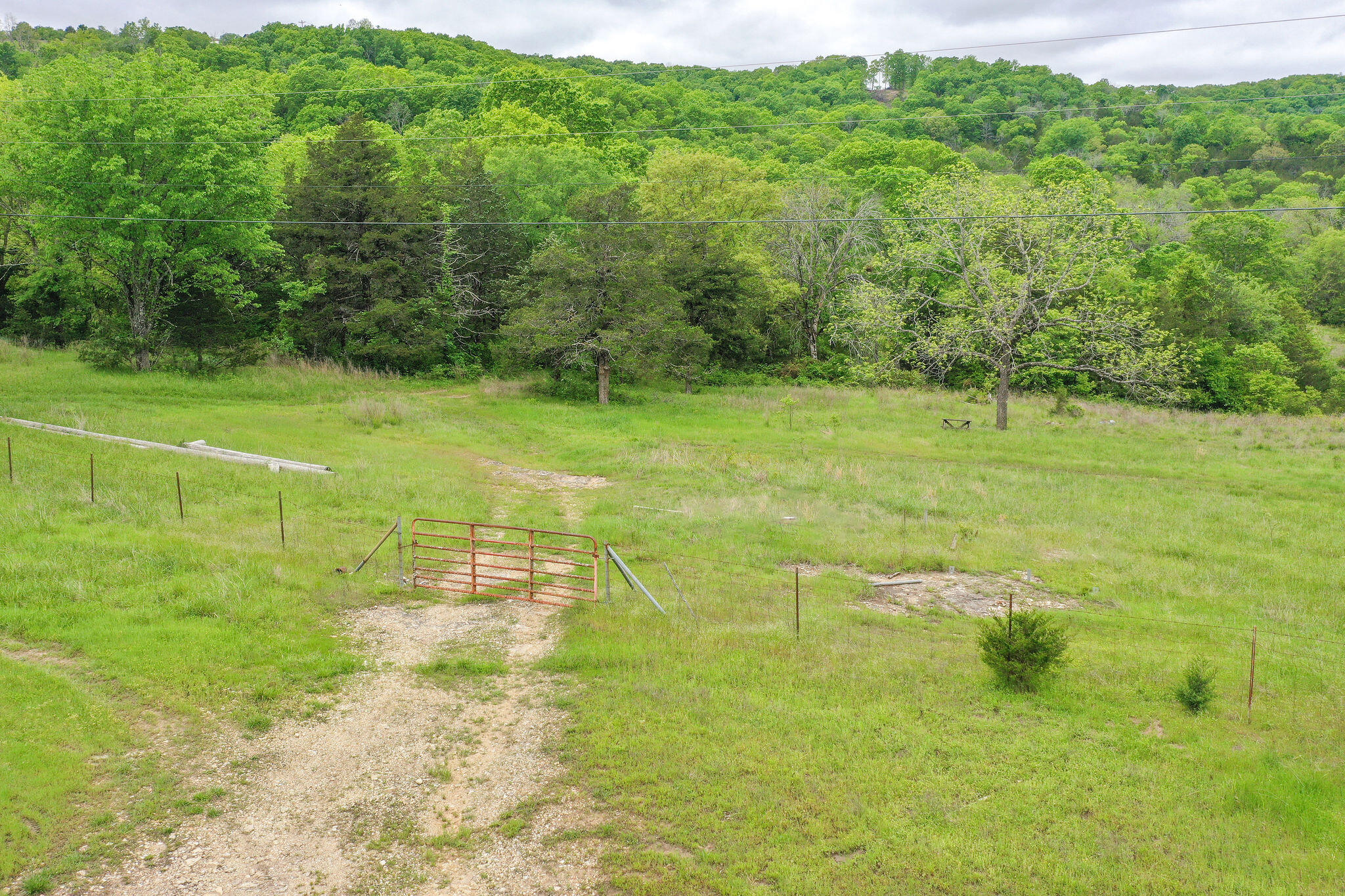 1584 Buchanan Road Property Photo 9