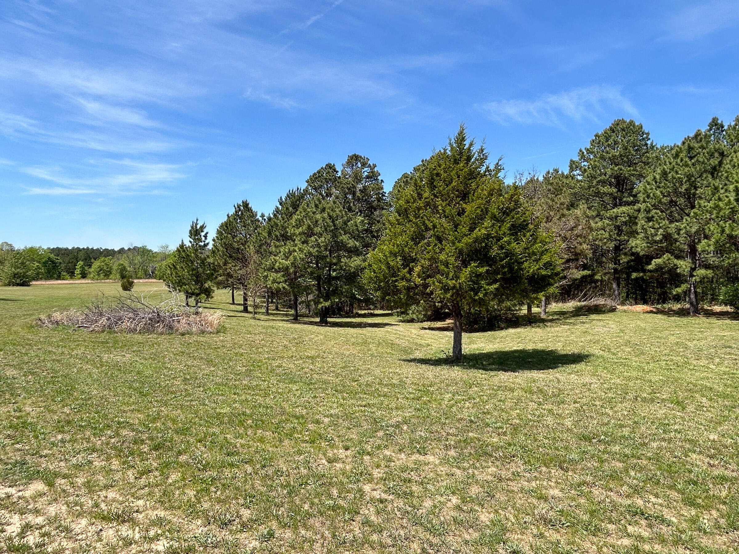 8307 Highway 63 Property Photo 25