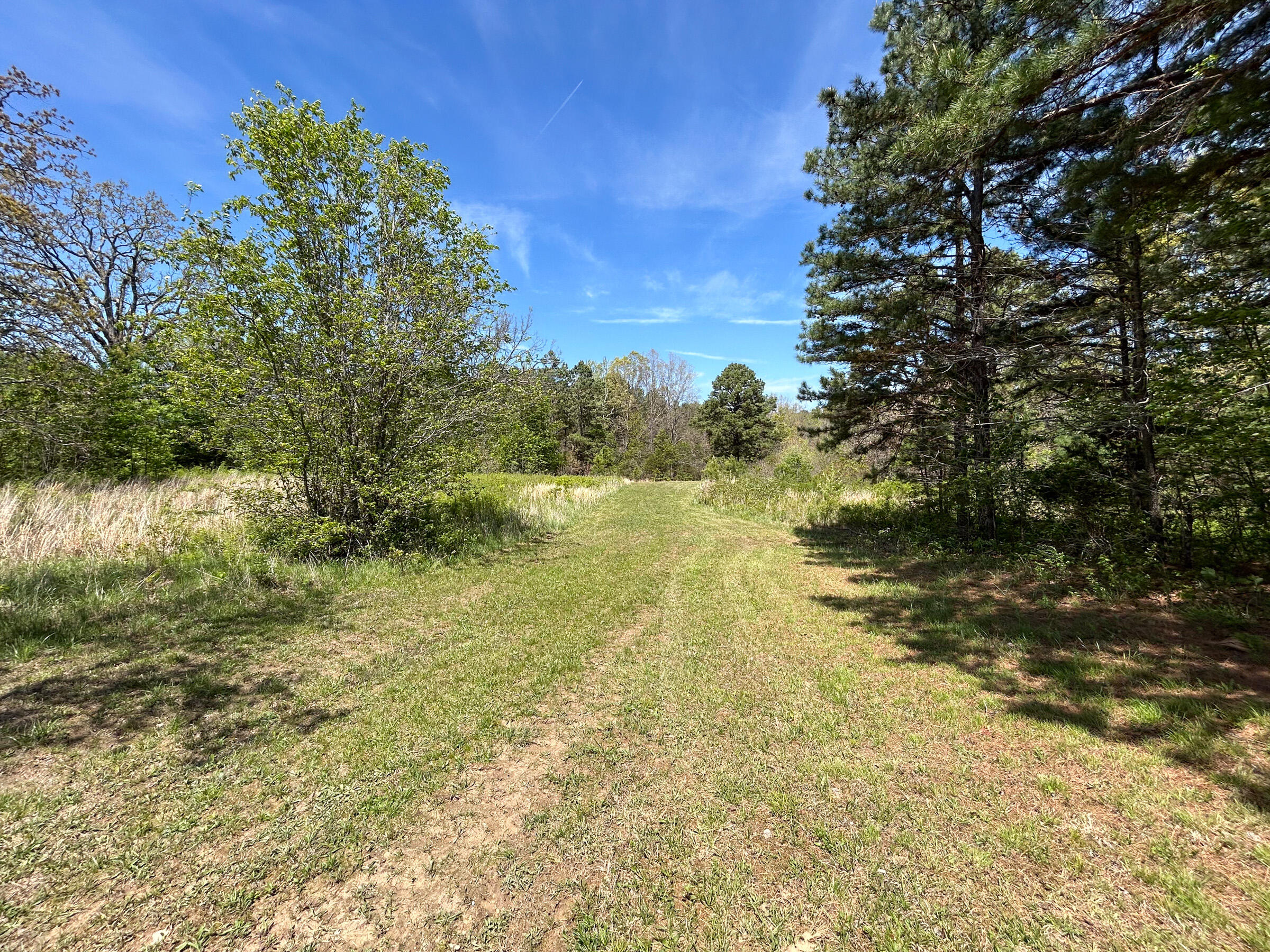 8307 Highway 63 Property Photo 26