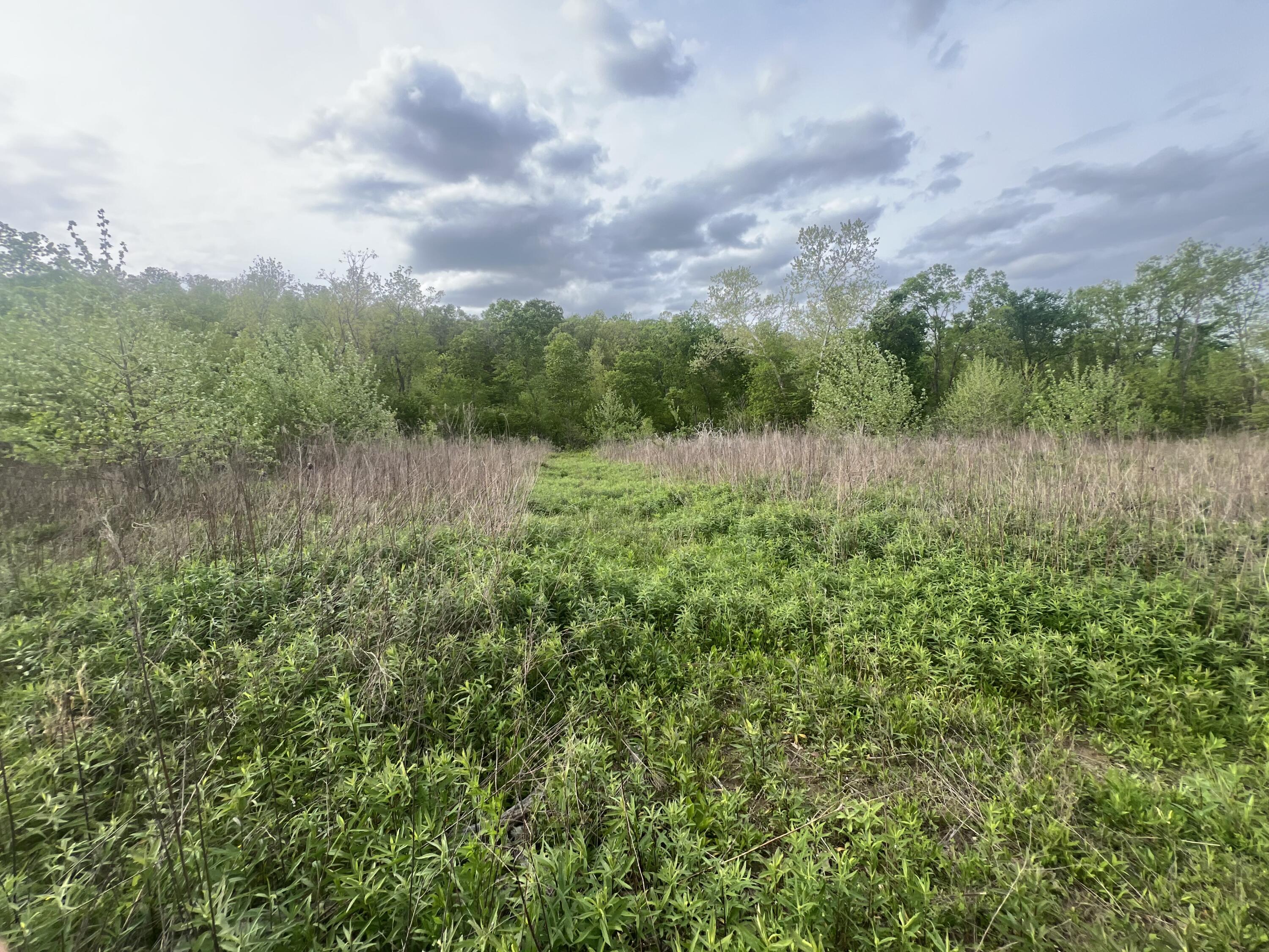0000 Cedar Gap Central Lane Property Photo 1