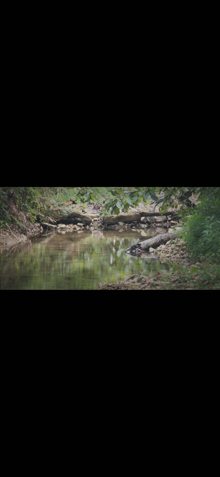 0000 Cedar Gap Central Lane Property Photo 3