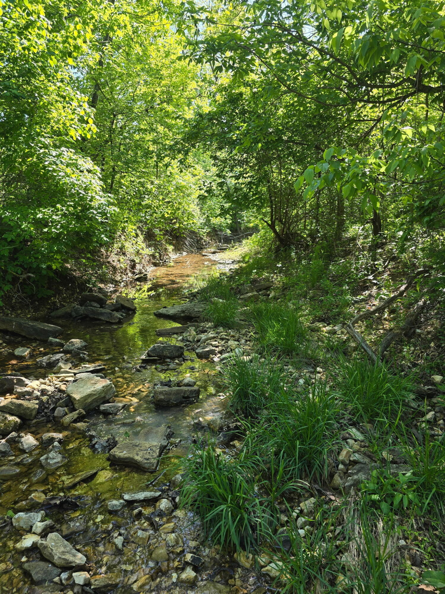 0000 Cedar Gap Central Lane Property Photo 4