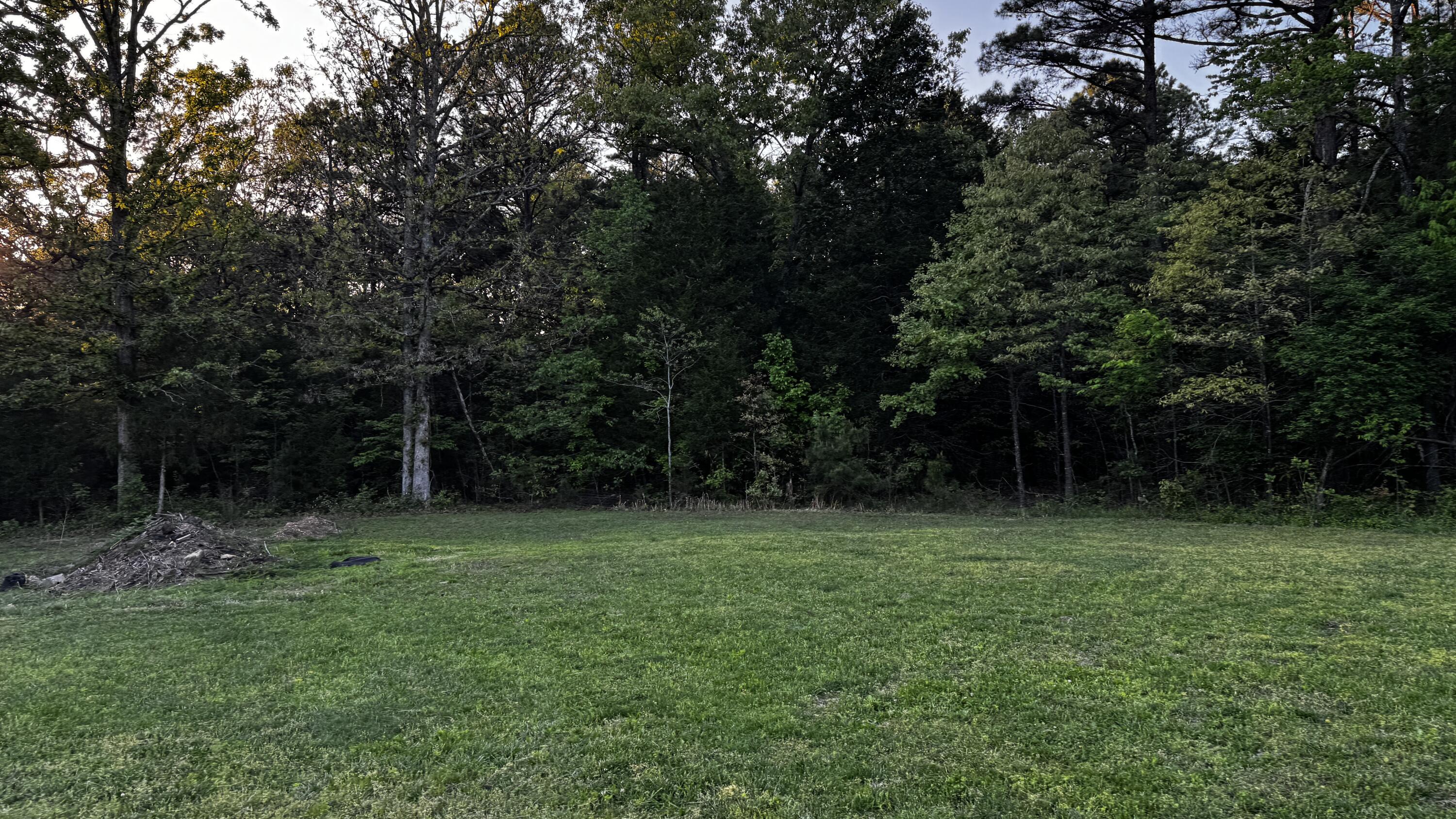 2587 State Highway Kk Property Photo 14