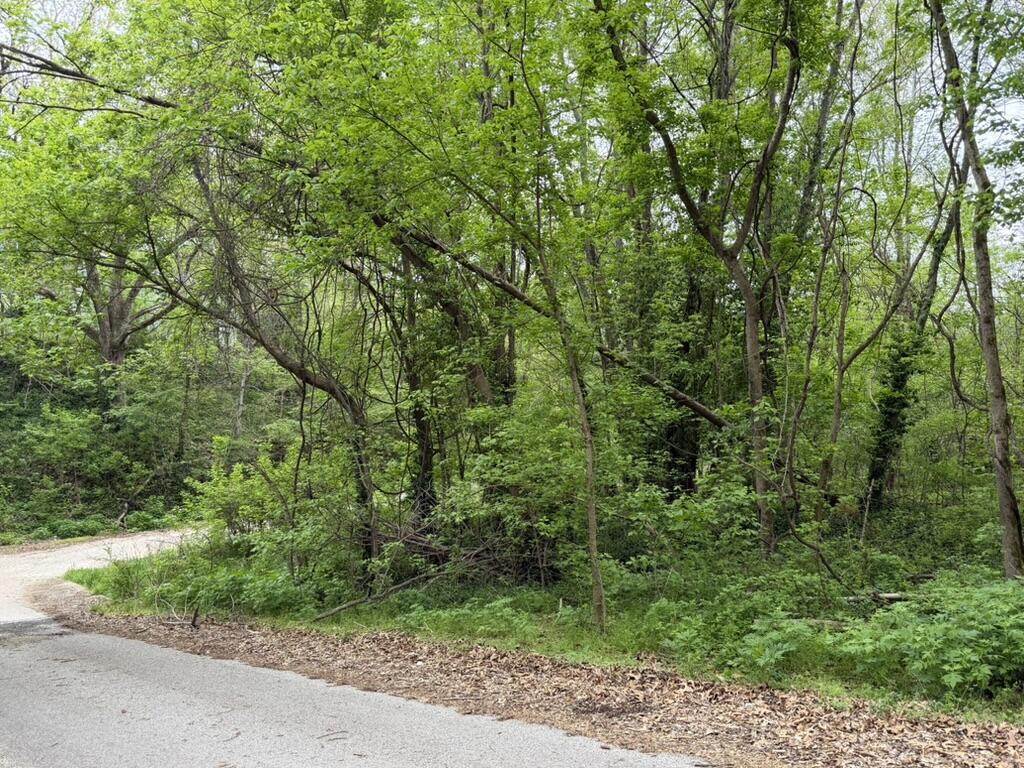 000 Eureka Avenue Property Photo 1