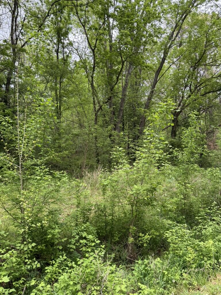 000 Eureka Avenue Property Photo 11