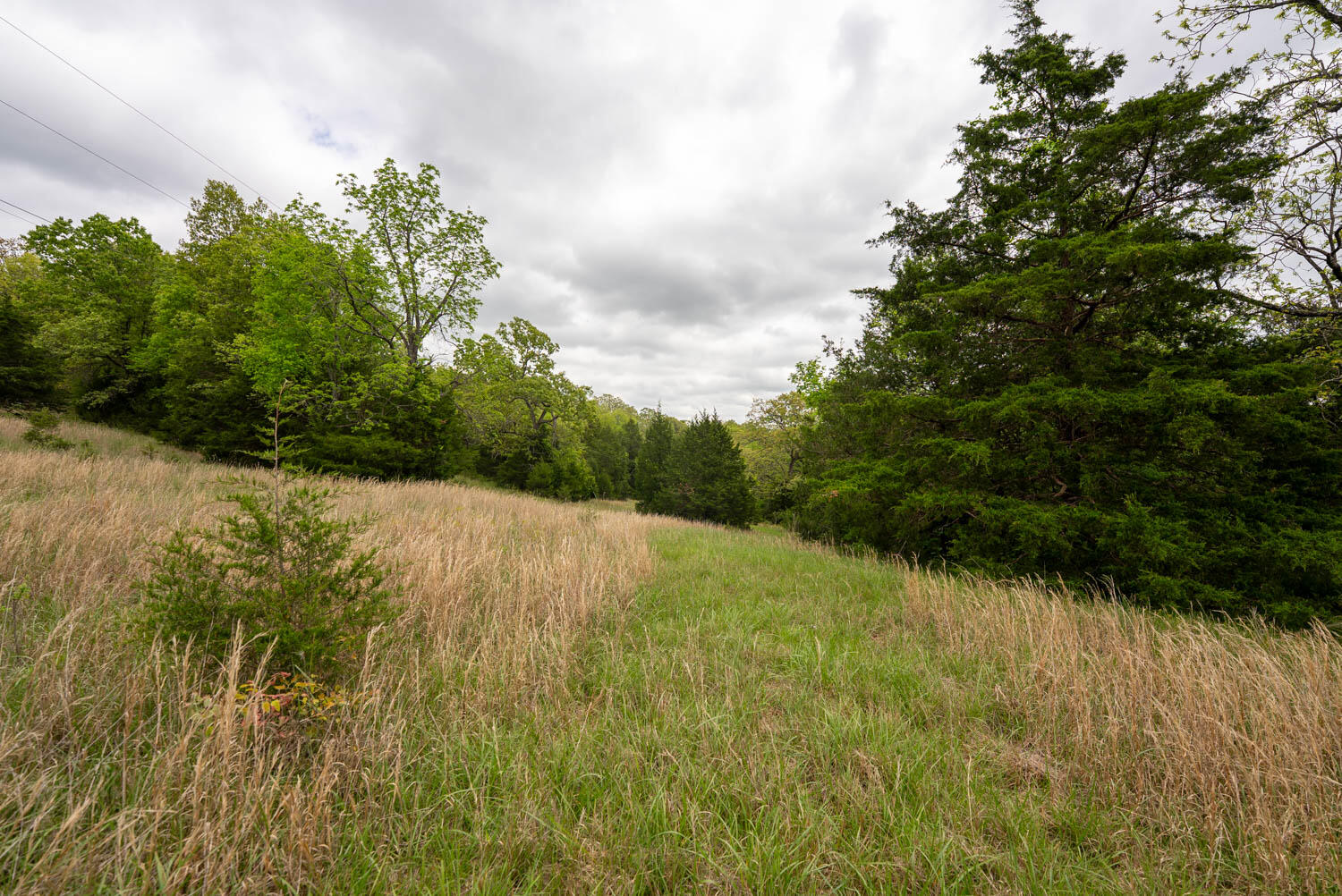000 Foxden Drive Property Photo 10