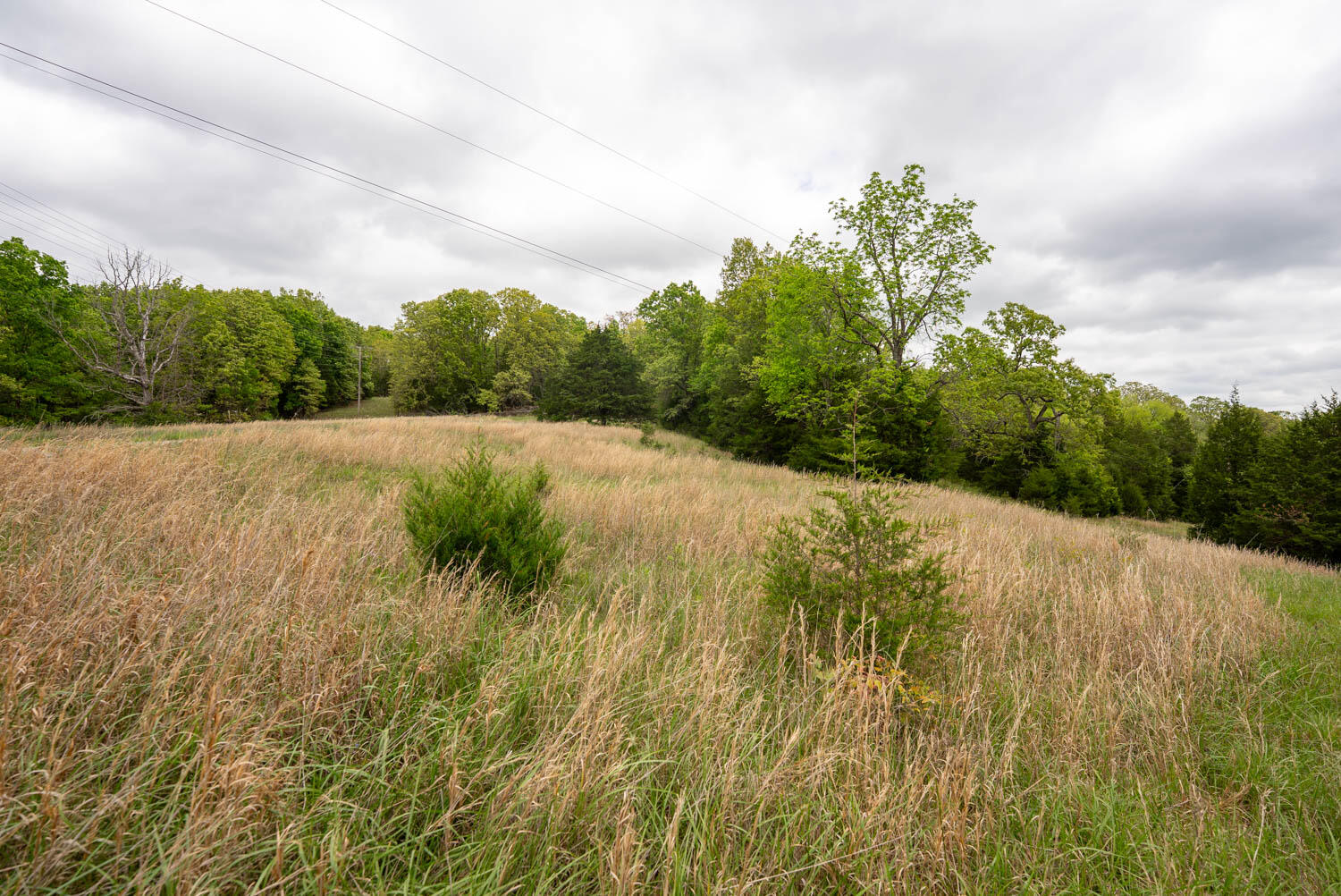 000 Foxden Drive Property Photo 11