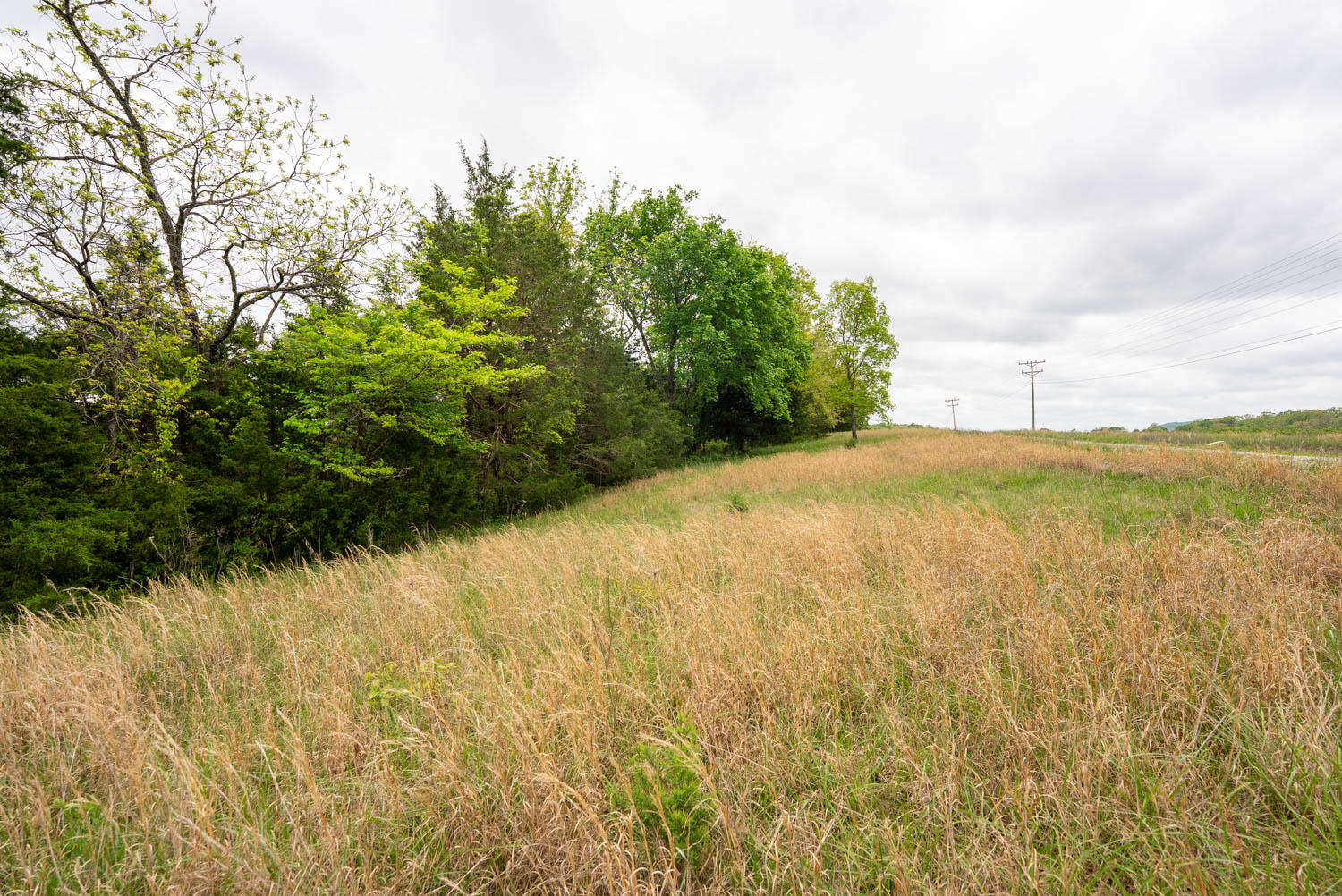 000 Foxden Drive Property Photo 12