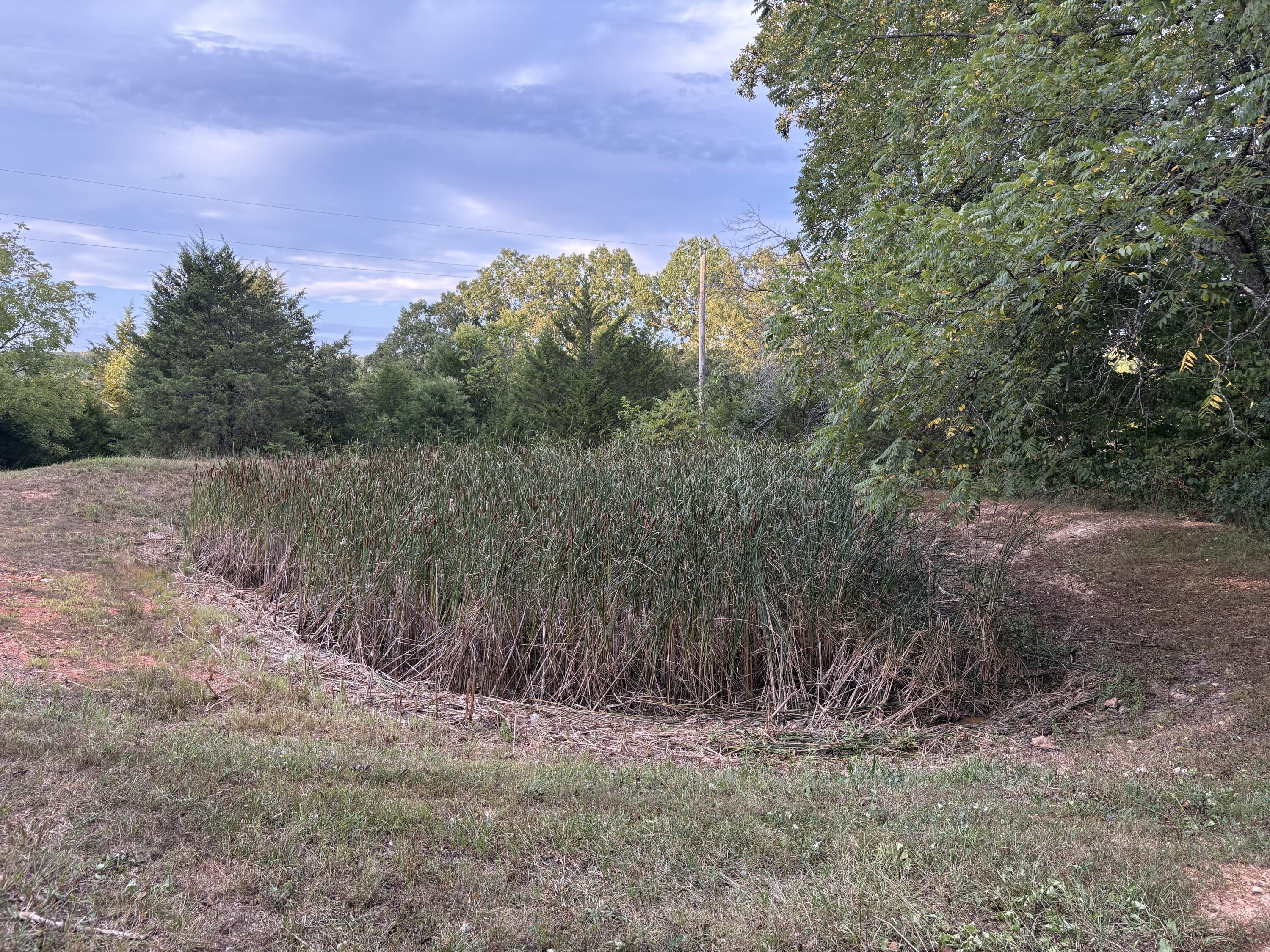 Rr7 Box 7372c Property Photo 39