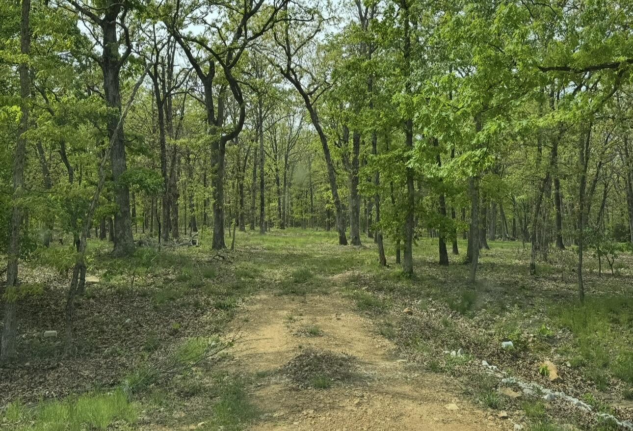 Lot 2 The Ridges Property Photo 1