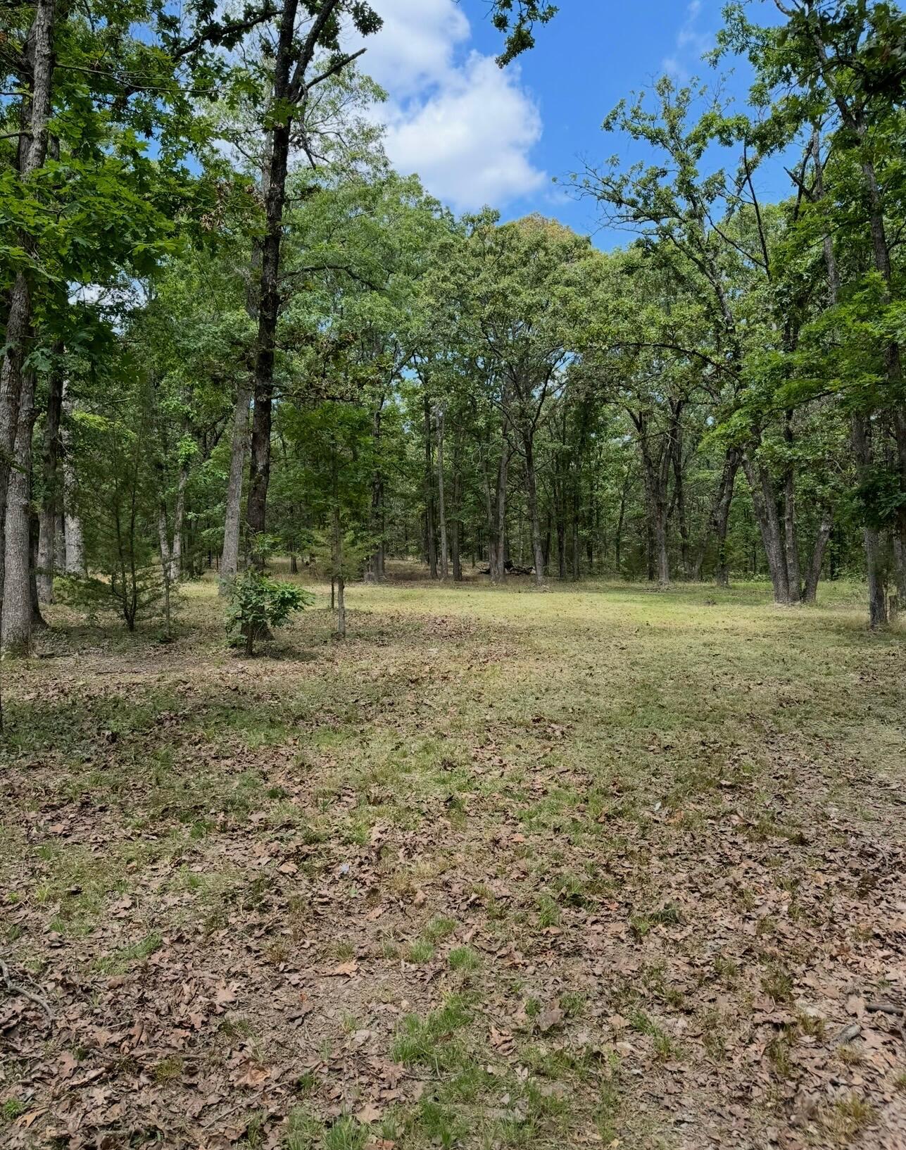 Lot 2 The Ridges Property Photo 3