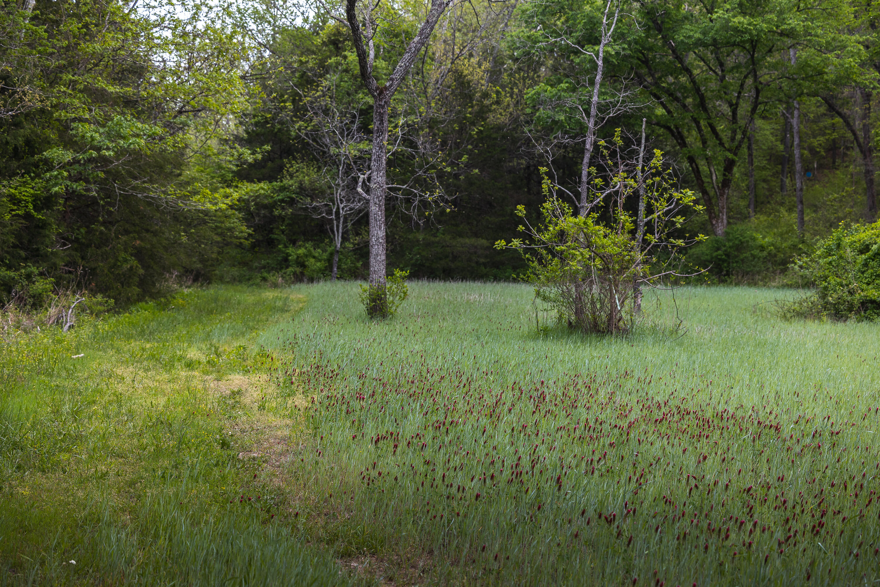 15310 County Road 7250 Property Photo 25
