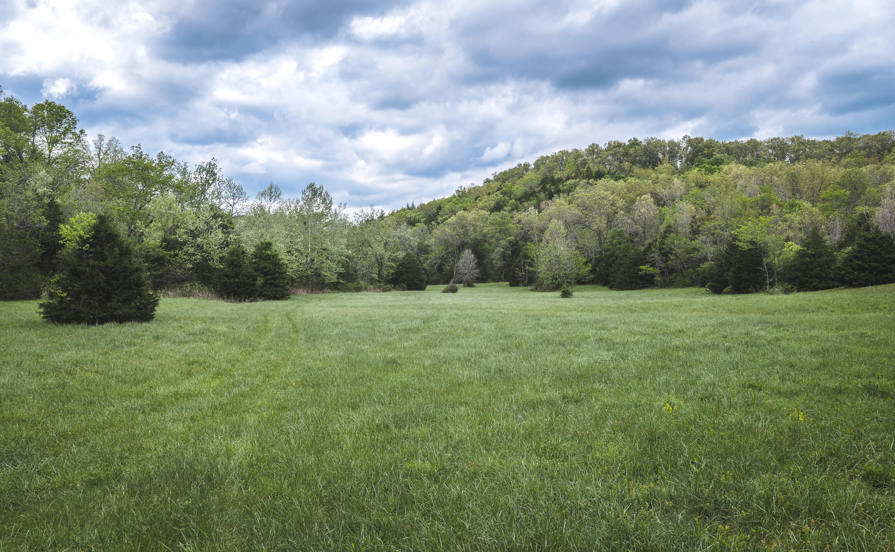 15310 County Road 7250 Property Photo 53