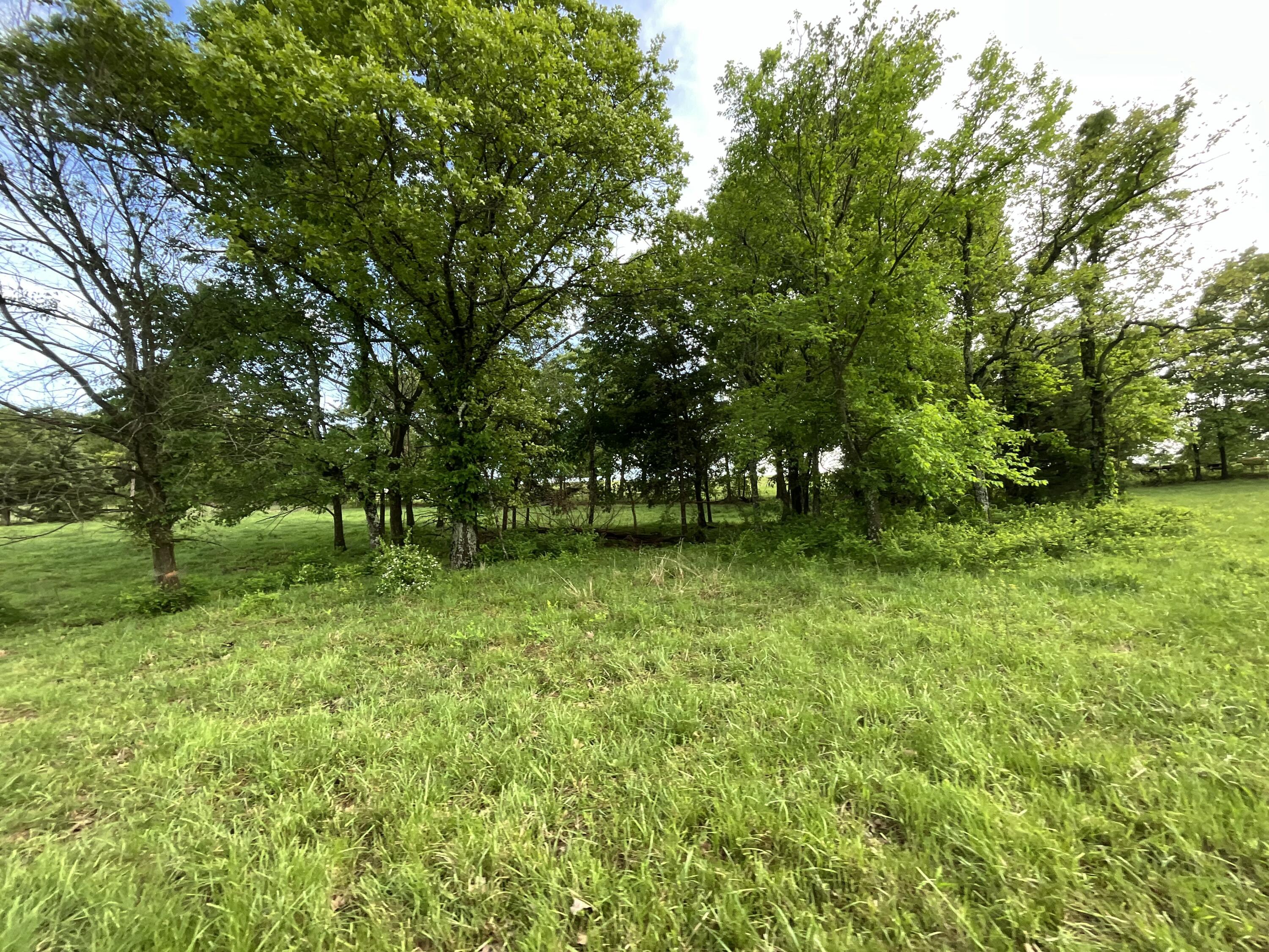 000 County Road 6750 Road Property Photo 10
