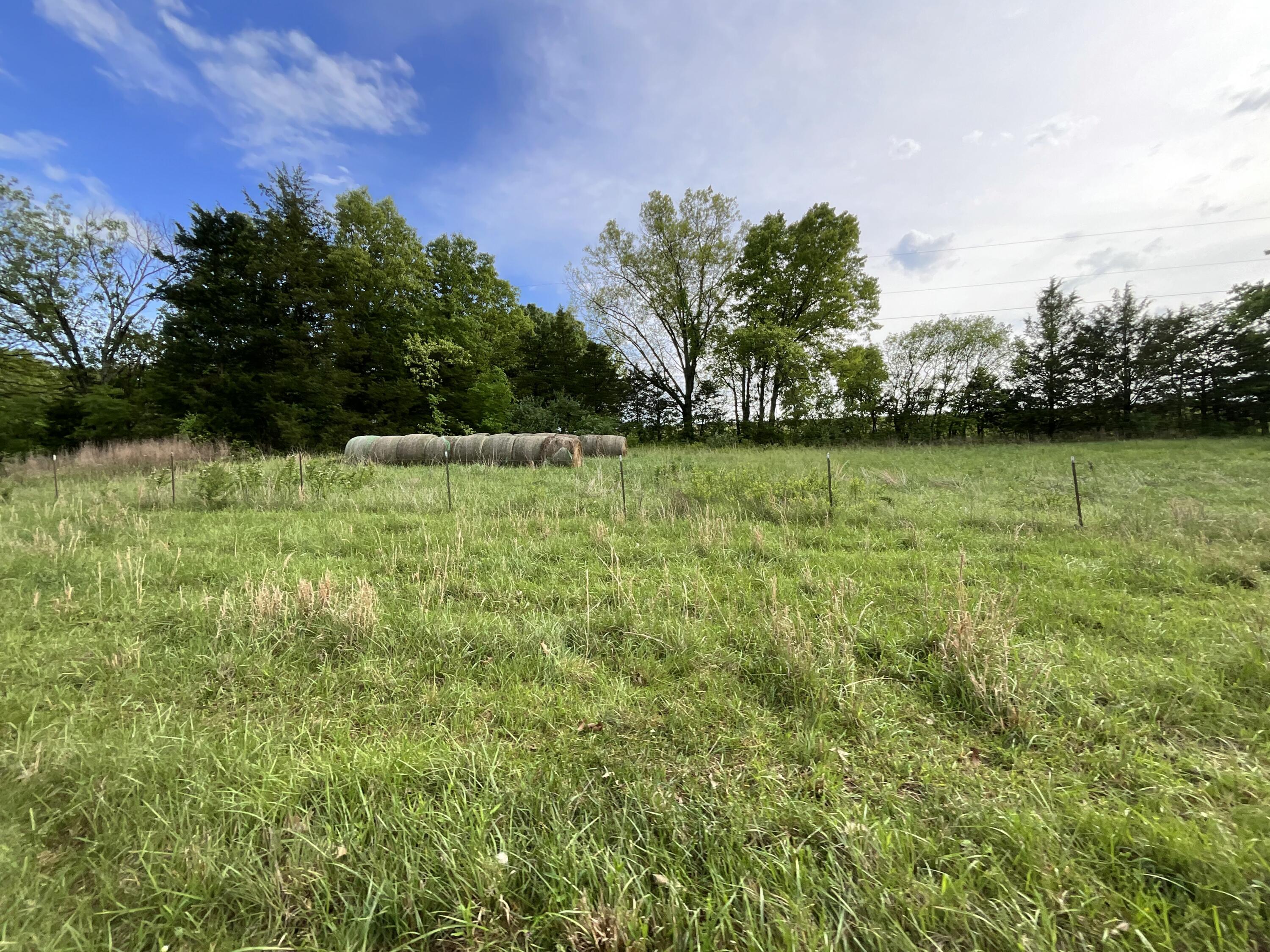 000 County Road 6750 Road Property Photo 11