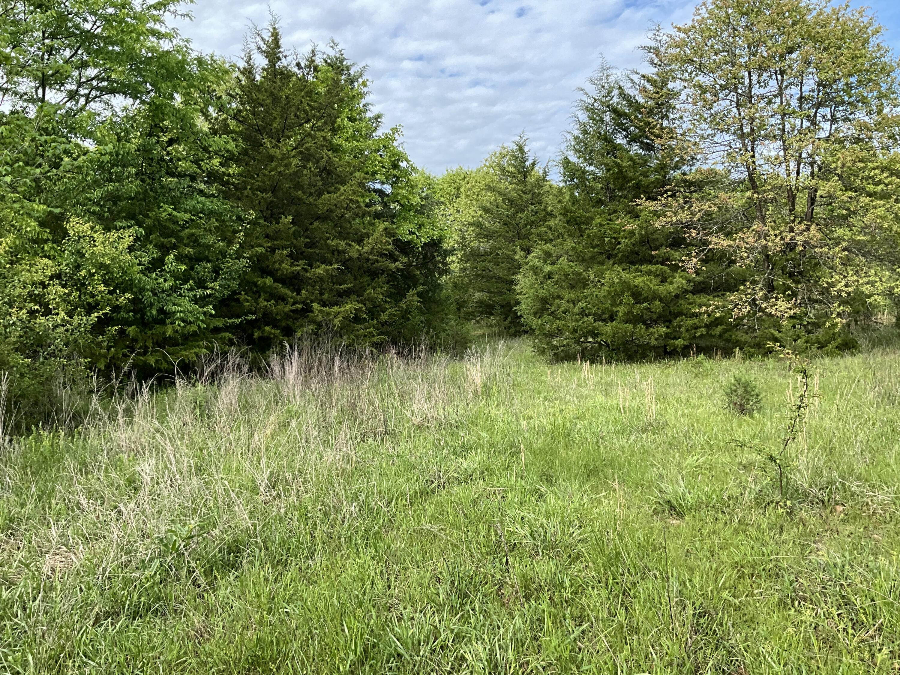 000 County Road 6750 Road Property Photo 25