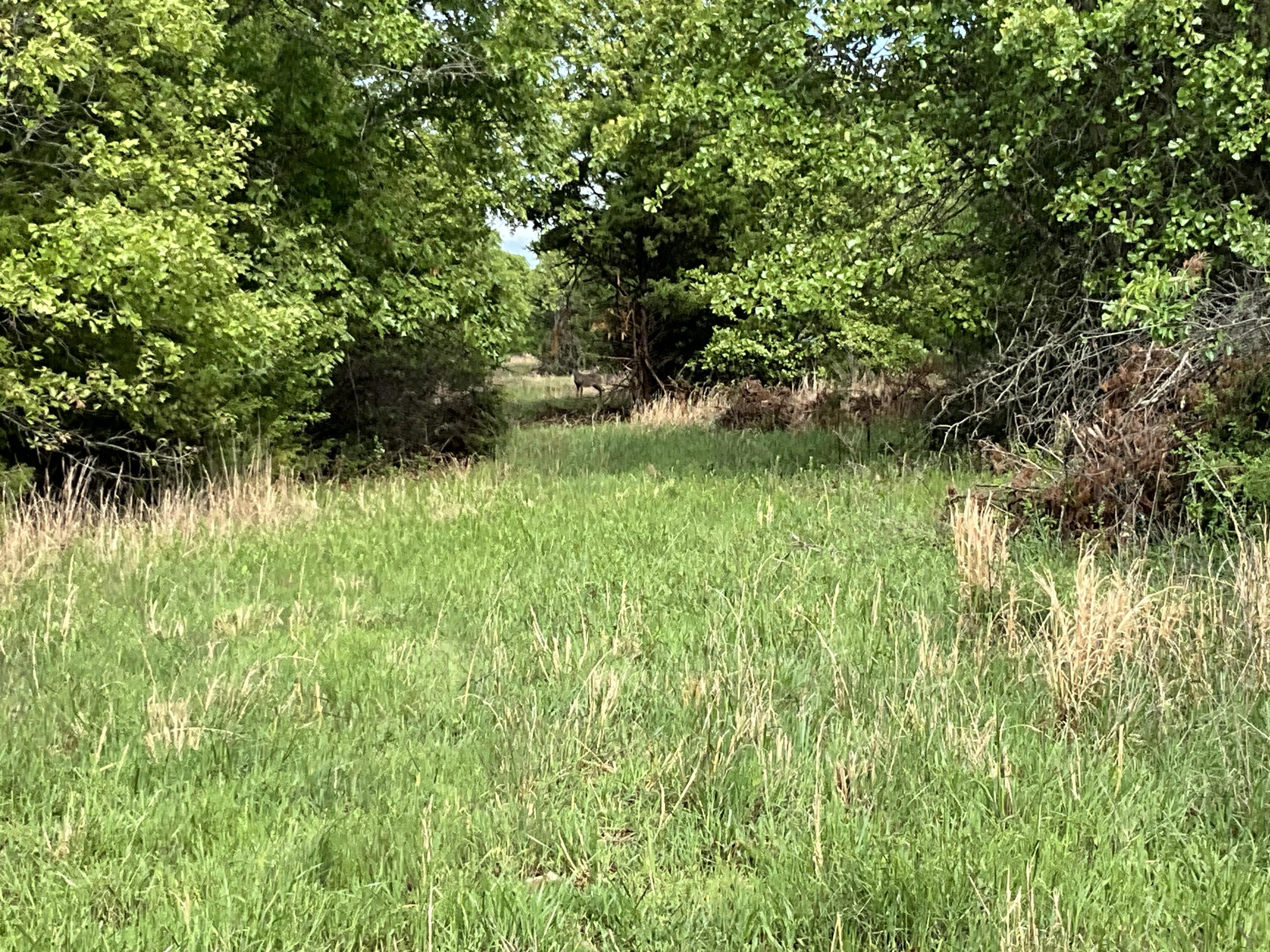 000 County Road 6750 Road Property Photo 29