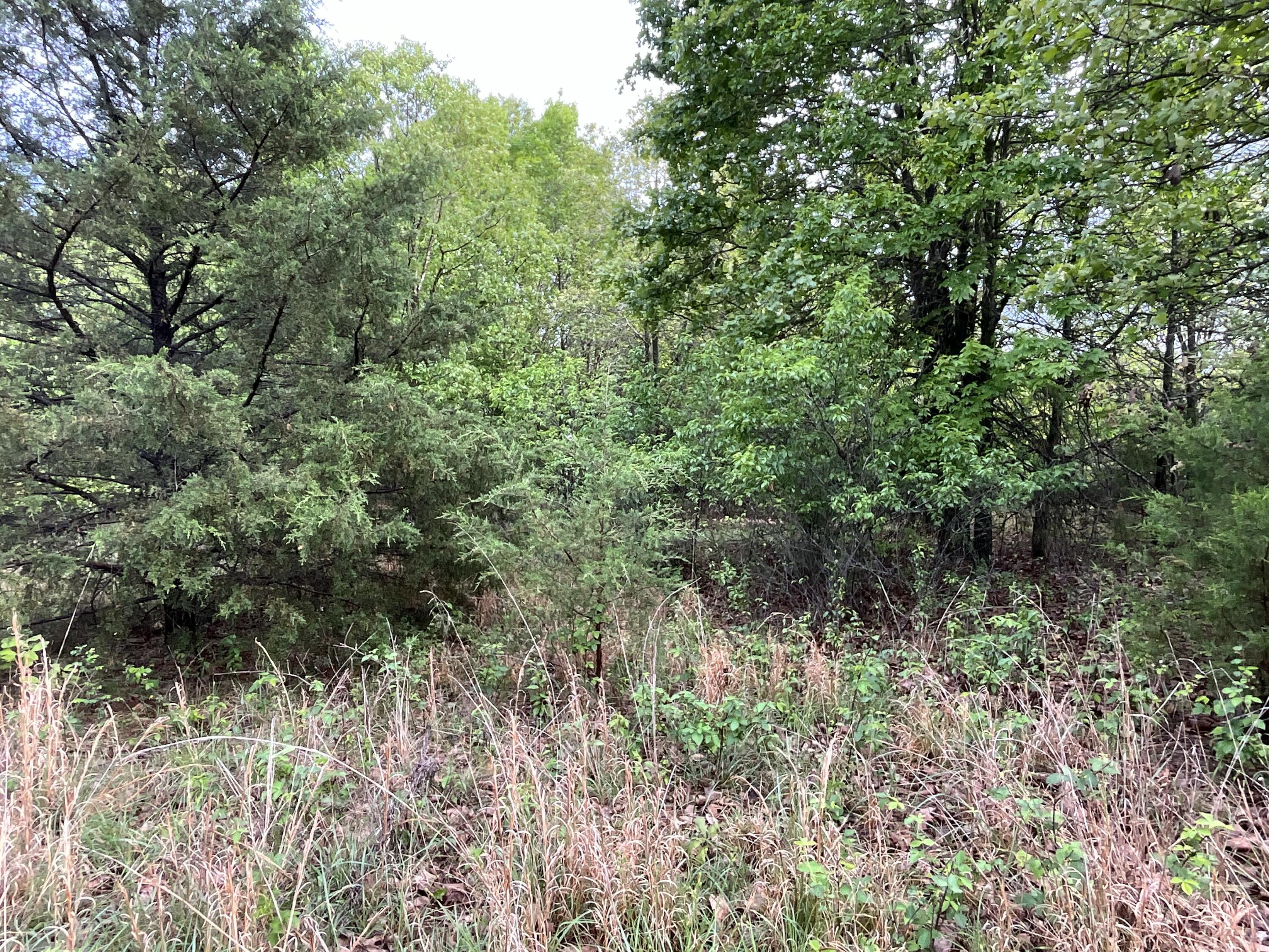 000 County Road 6750 Road Property Photo 31