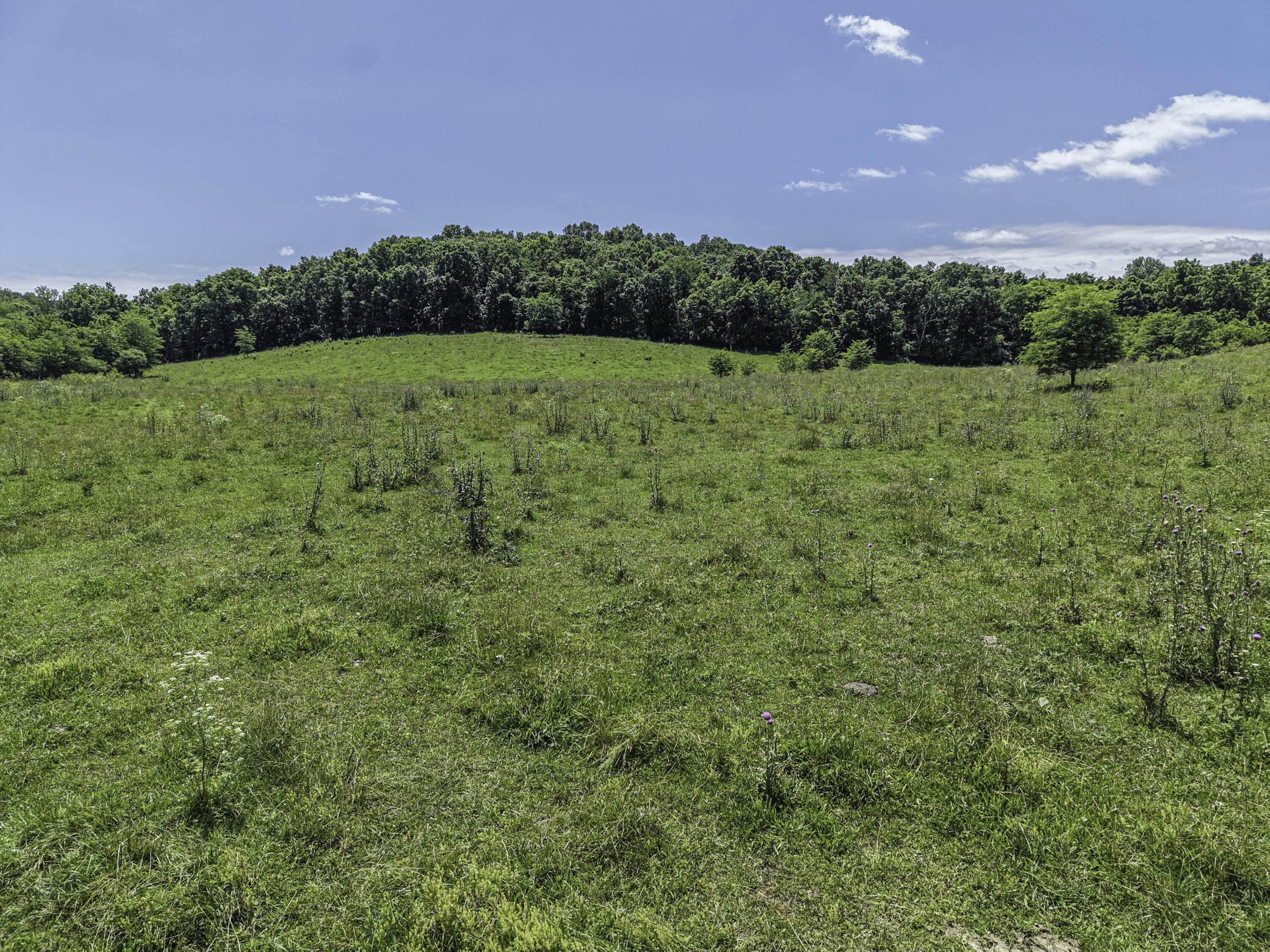 23605 County Road U-112 Property Photo 45