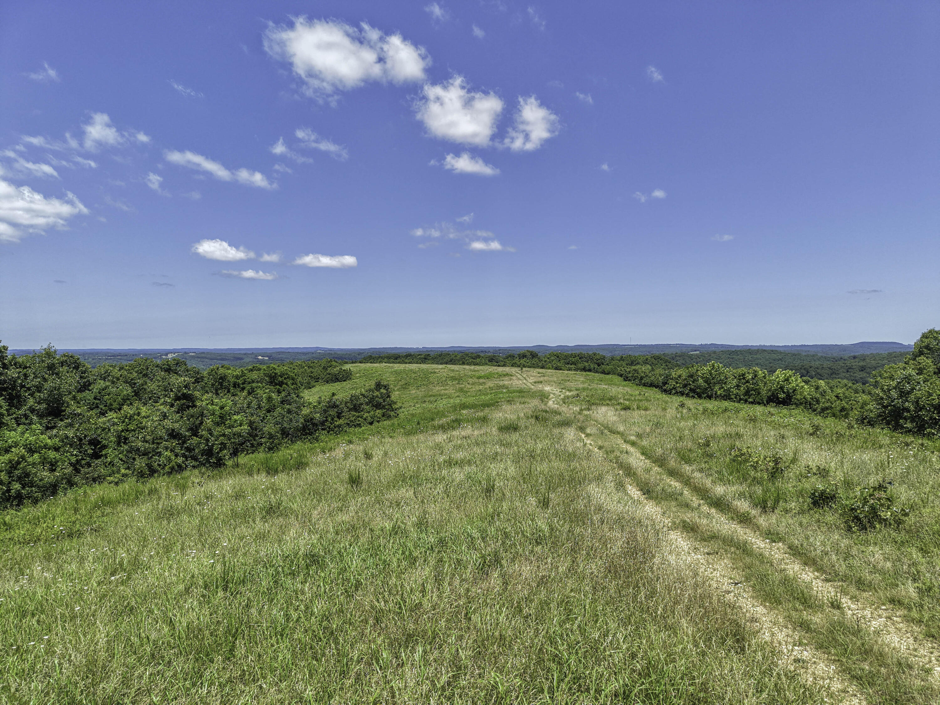 000 County Road 123 Property Photo 4