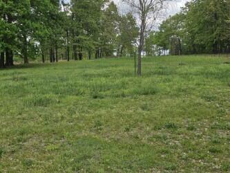 3140 State Route Ab Property Photo 24