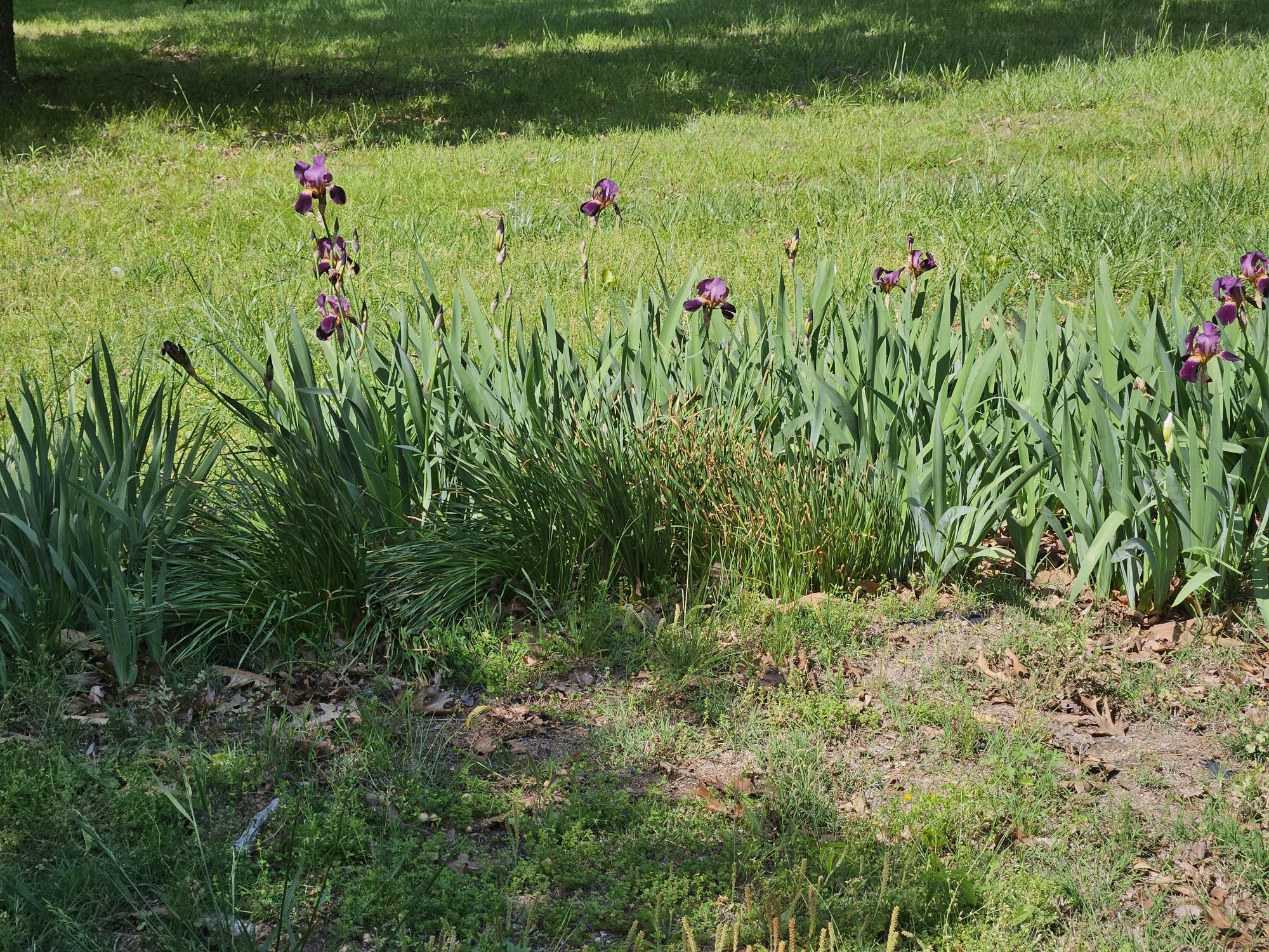 3140 State Route Ab Property Photo 29