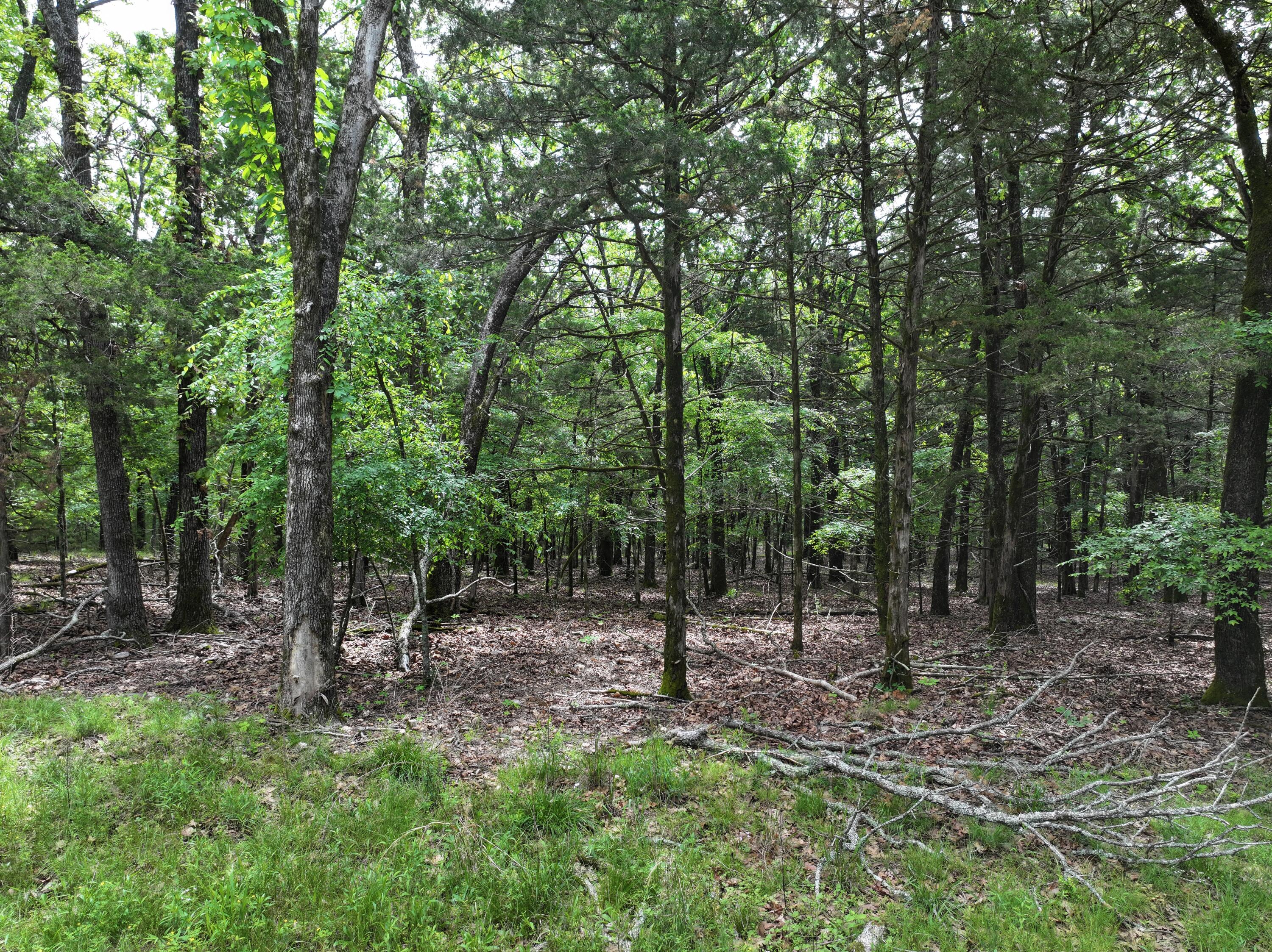 Lot 40&41 Timber Shoals Road Property Photo 2
