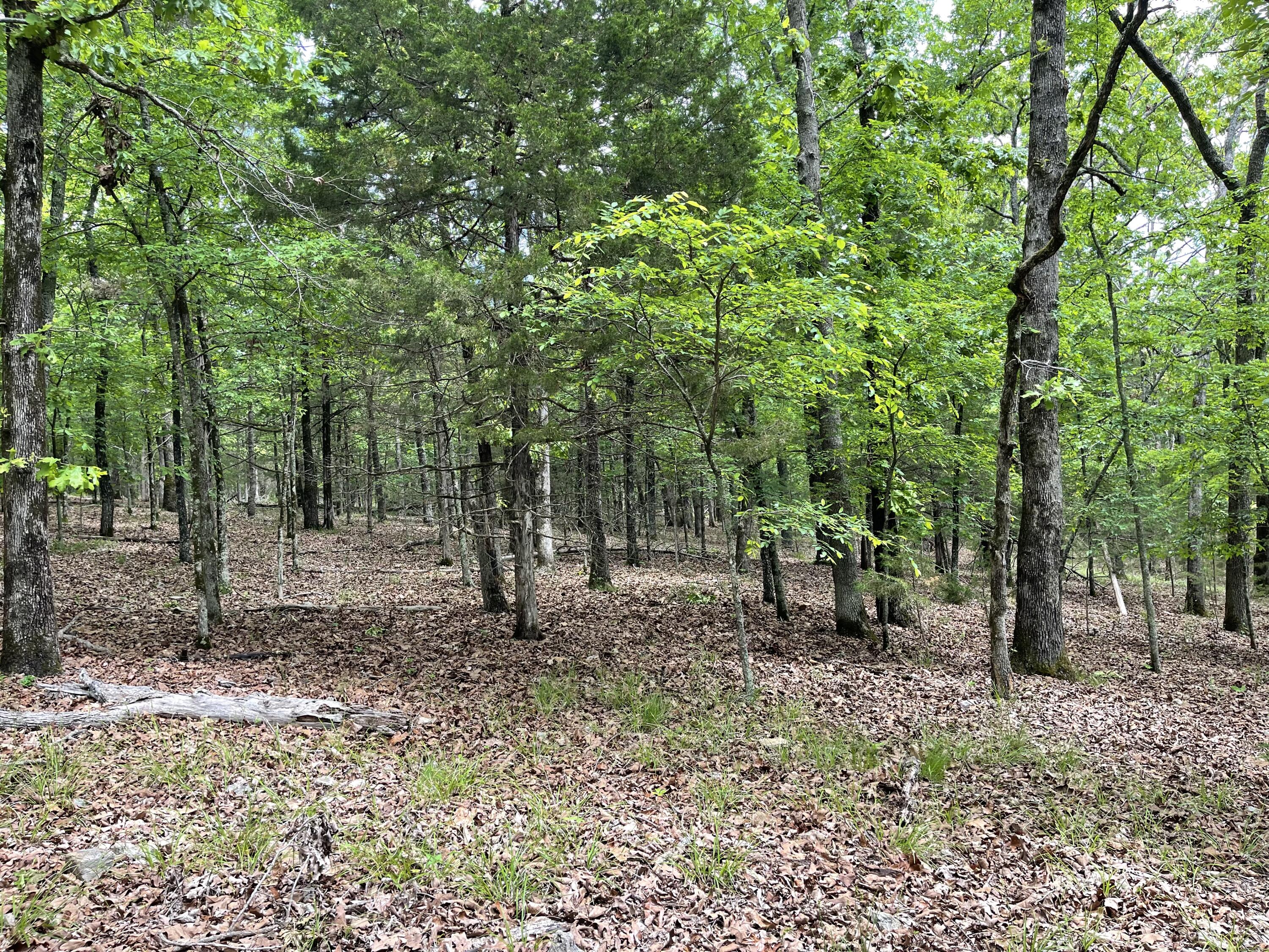 Lot 40&41 Timber Shoals Road Property Photo 6
