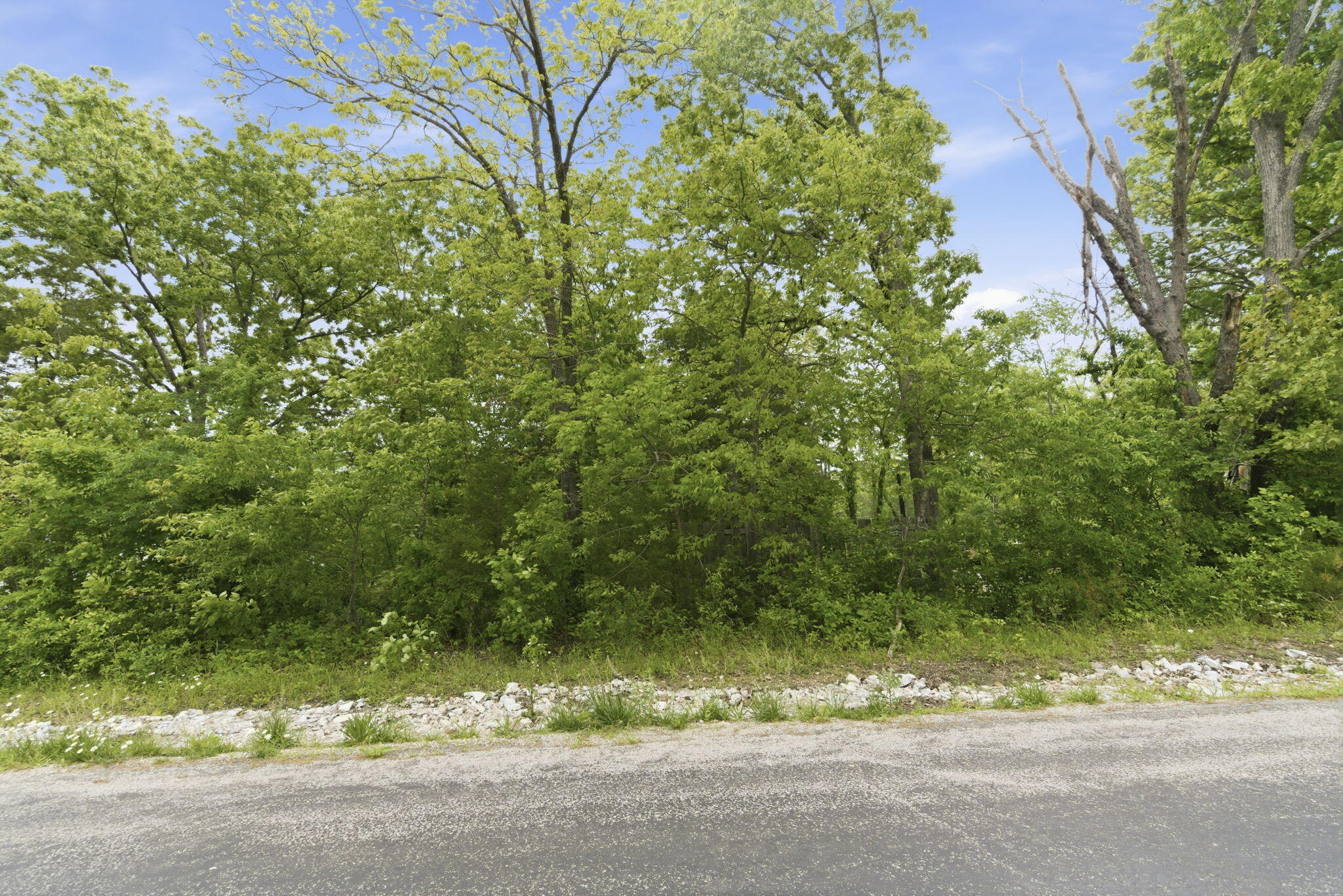 000 Tate Road Property Photo 5