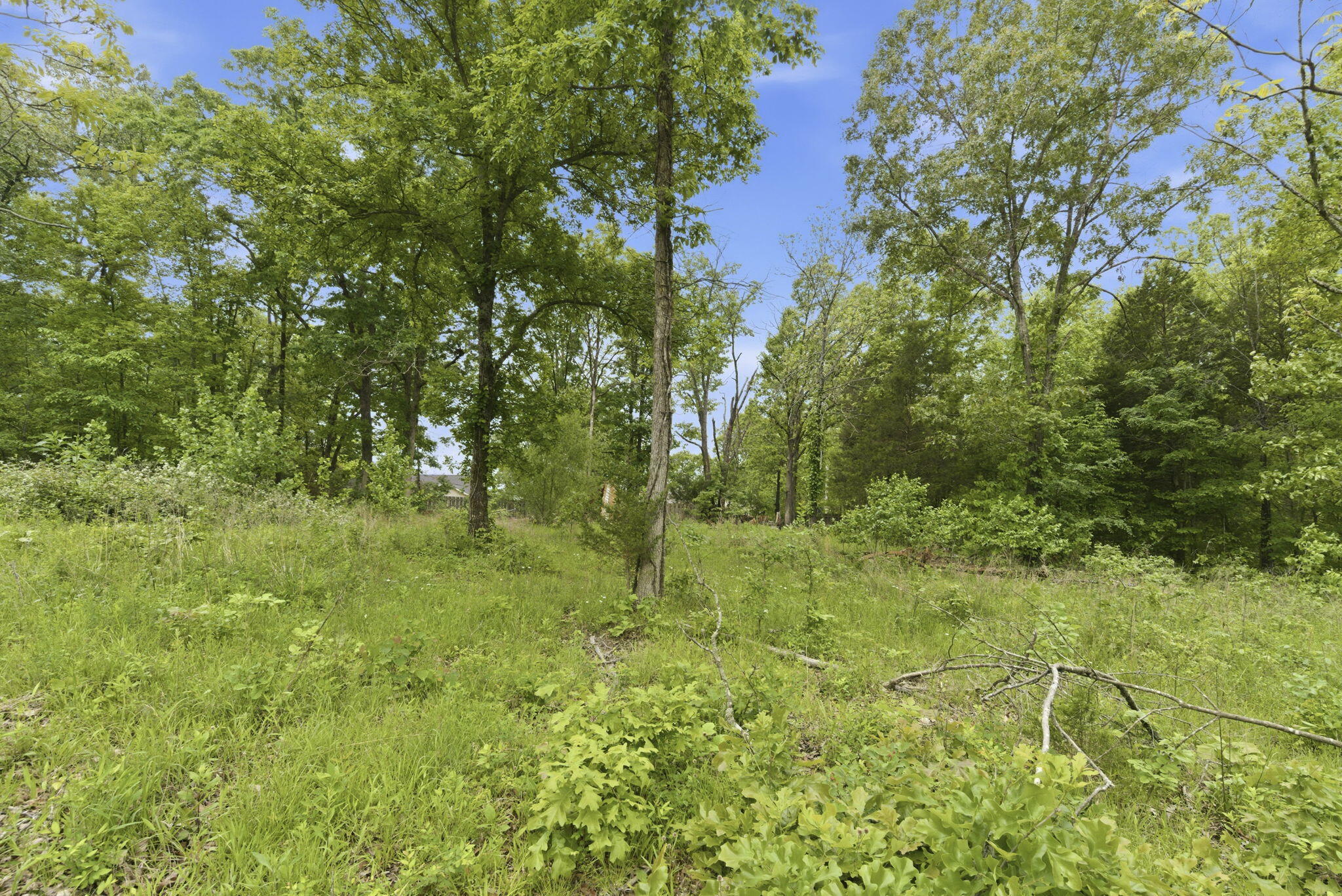 000 Tate Road Property Photo 8